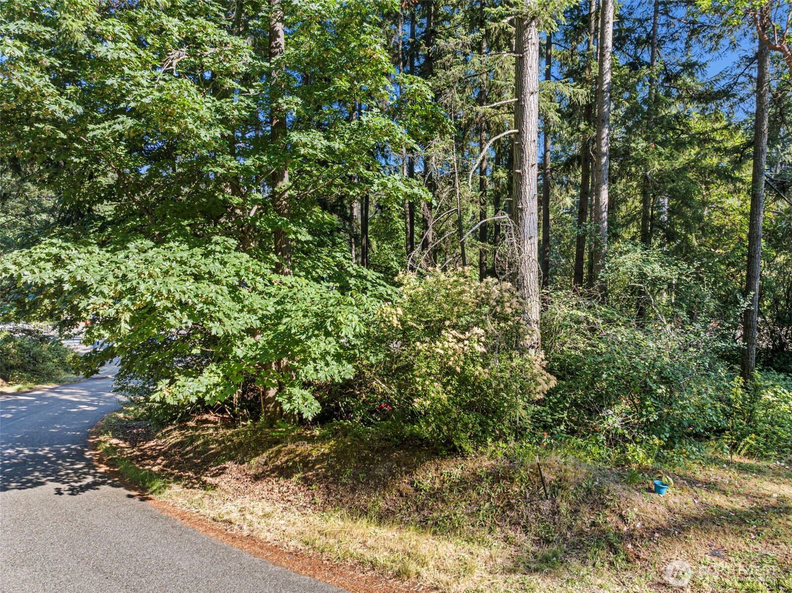 4618 Timber Lane Property Photo 2