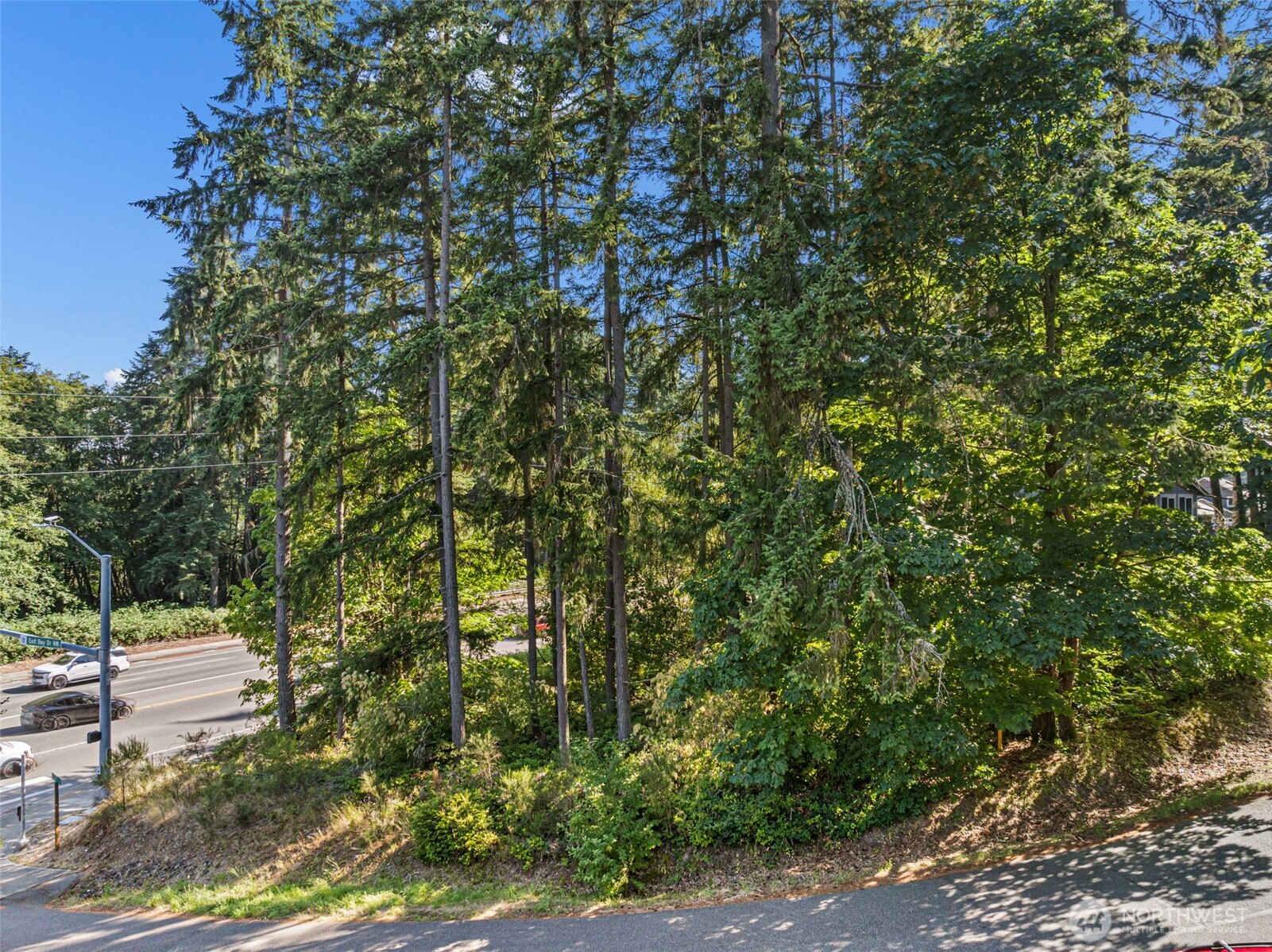 4618 Timber Lane Property Photo 3