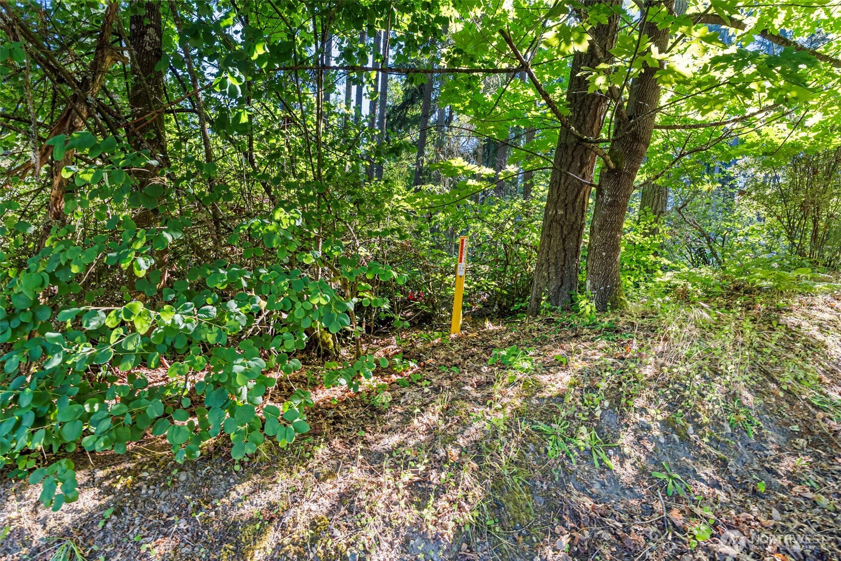 4618 Timber Lane Property Photo 4