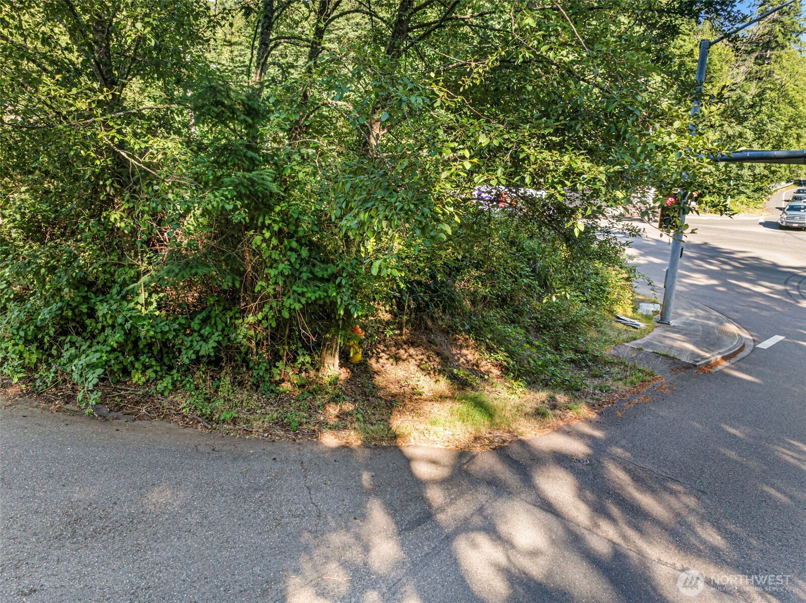4618 Timber Lane Property Photo 6