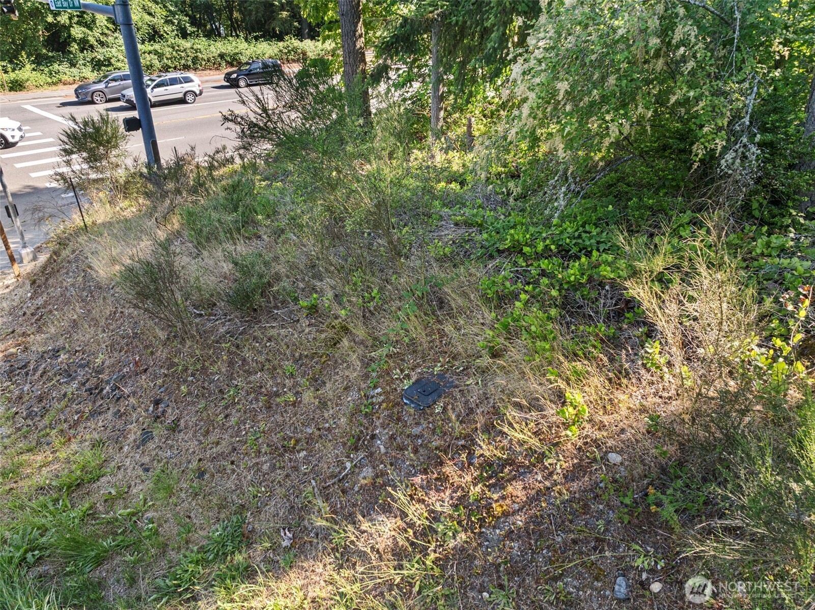 4618 Timber Lane Property Photo 7