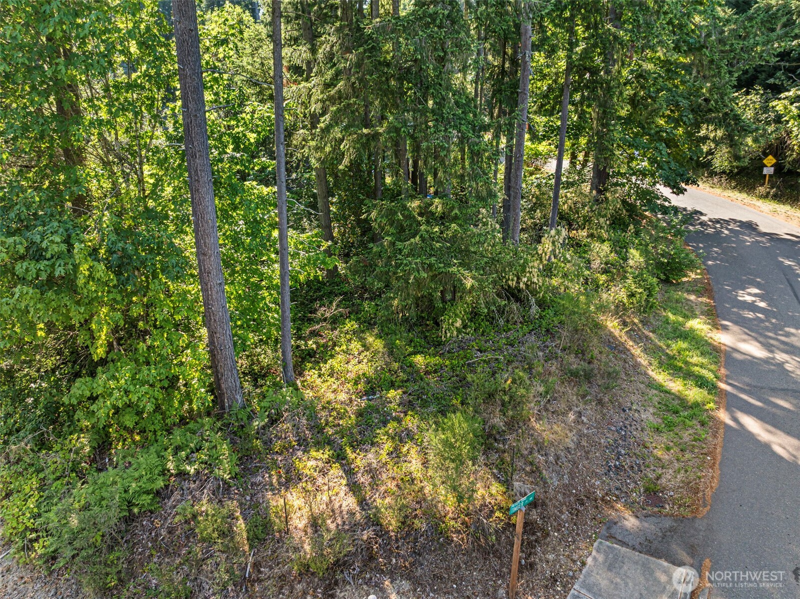 4618 Timber Lane Property Photo 8