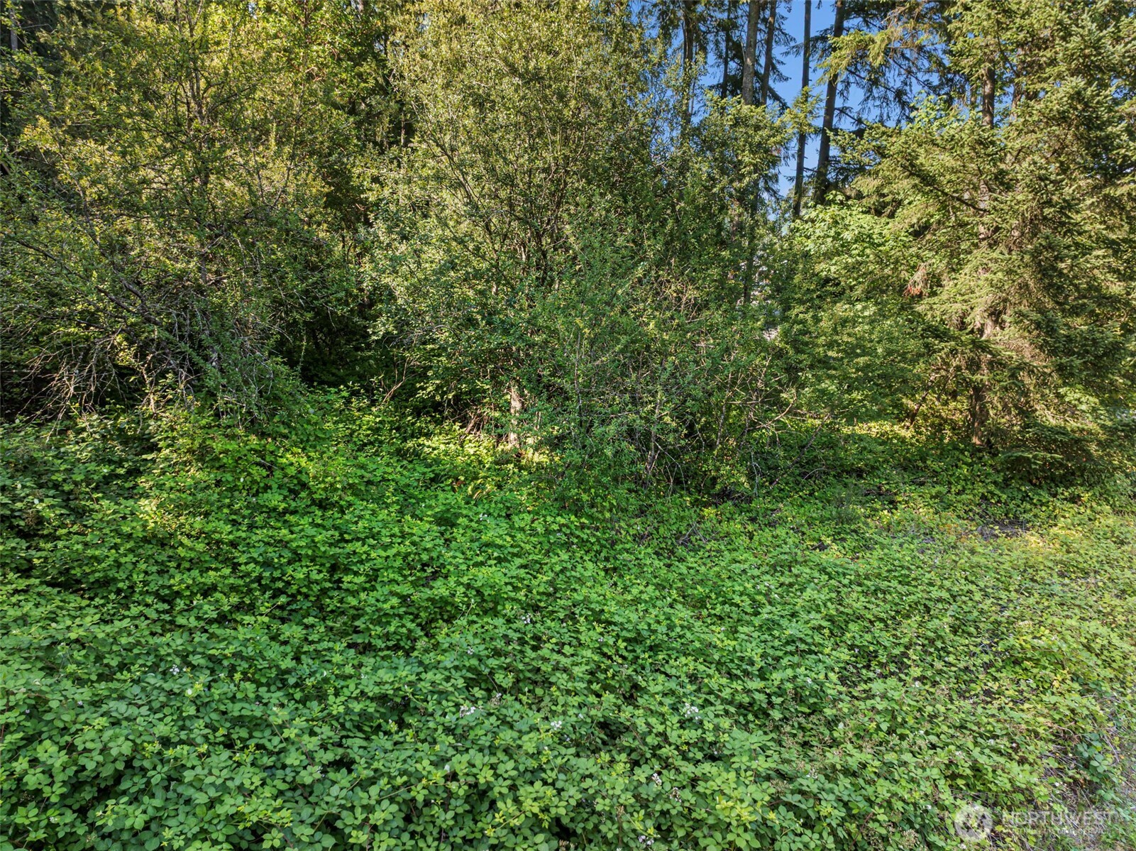 4618 Timber Lane Property Photo 15