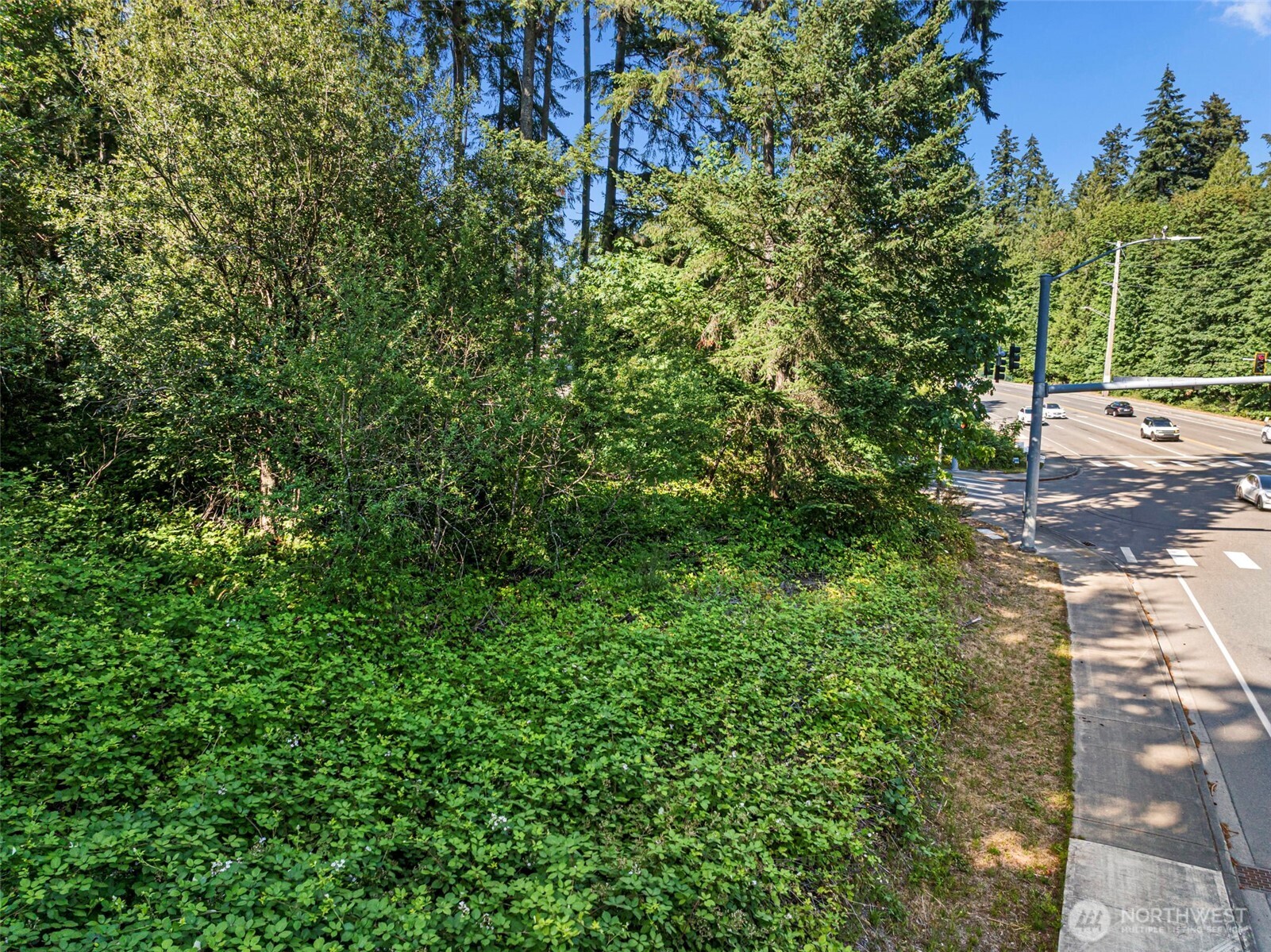 4618 Timber Lane Property Photo 16
