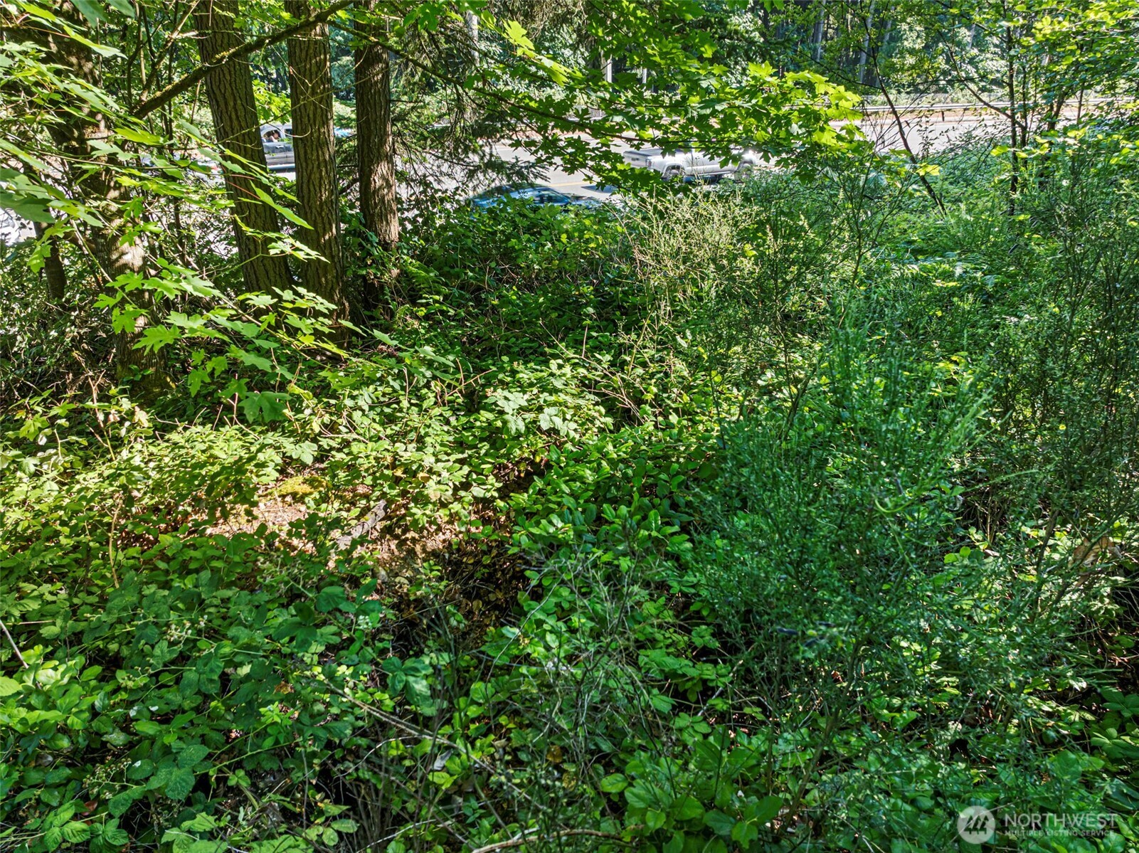 4618 Timber Lane Property Photo 17