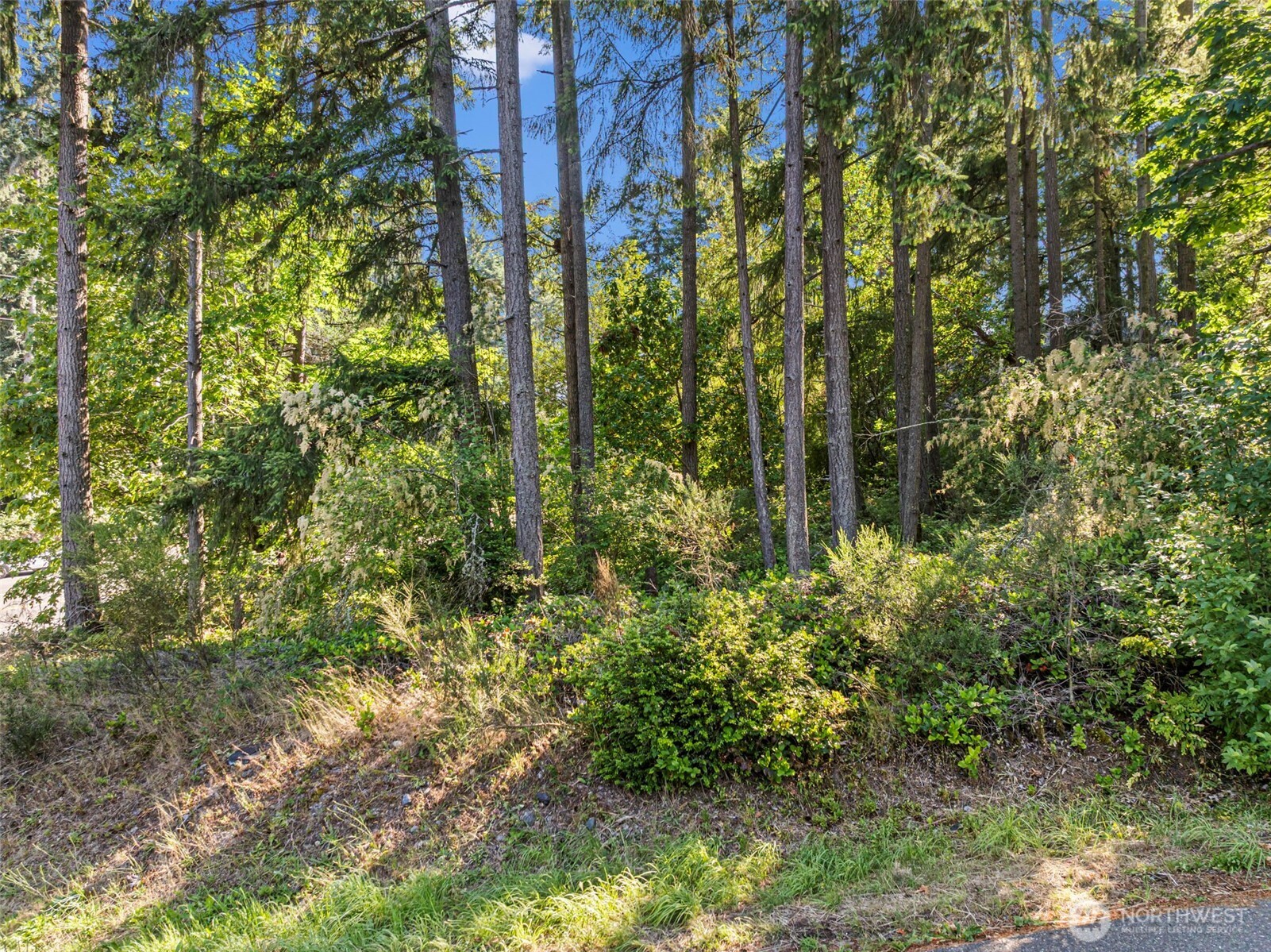 4618 Timber Lane Property Photo 18