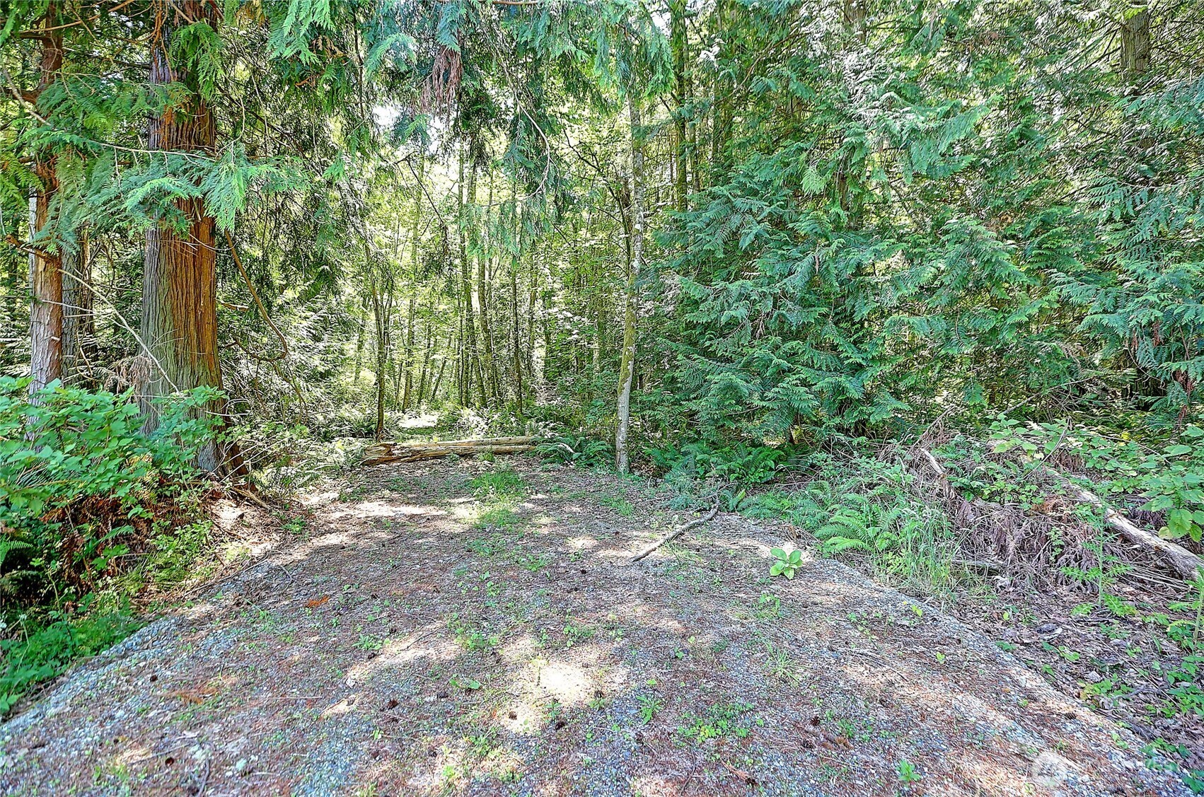 100 W Mountain View Rd Property Photo 6