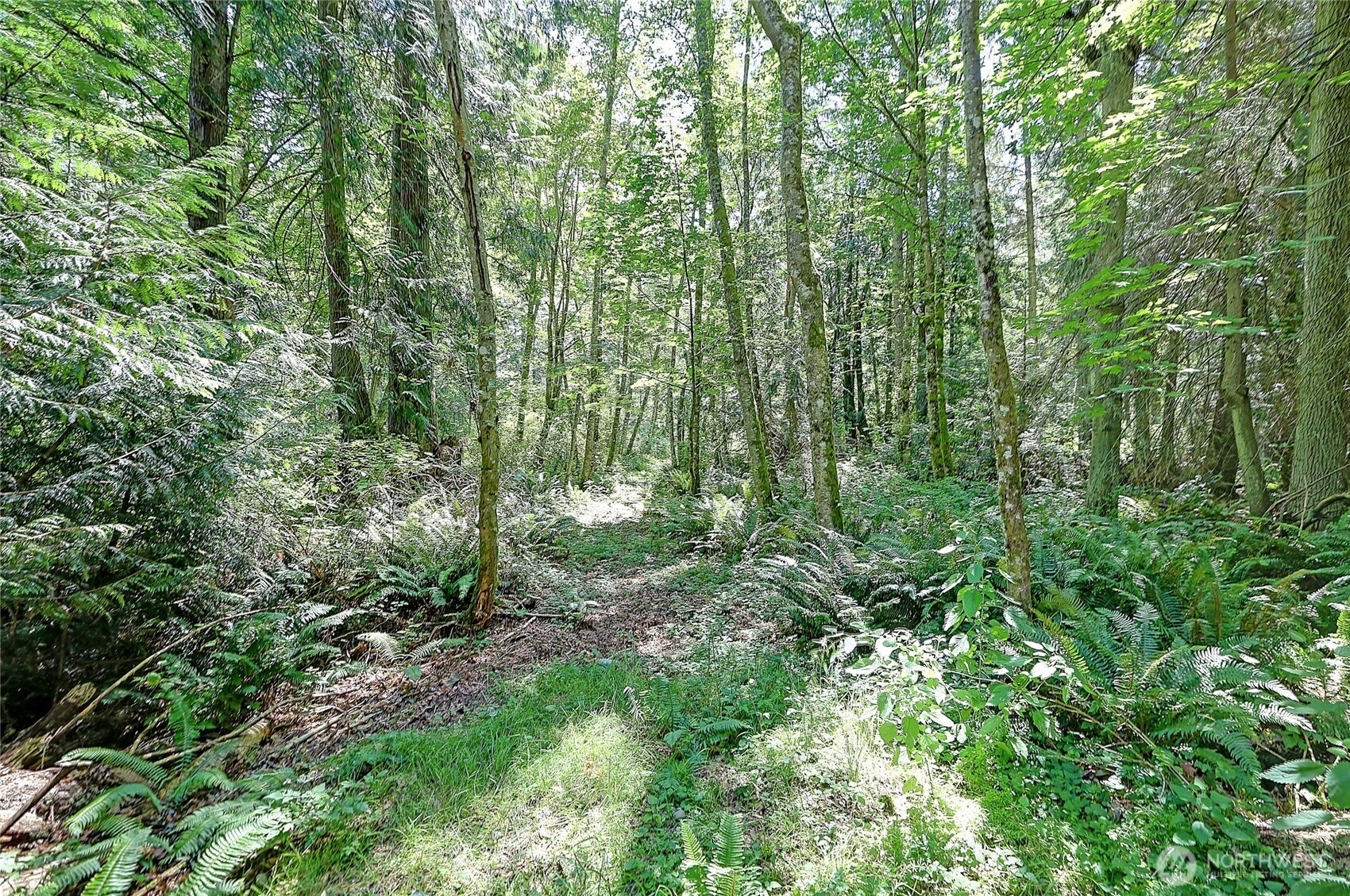 100 W Mountain View Rd Property Photo 7