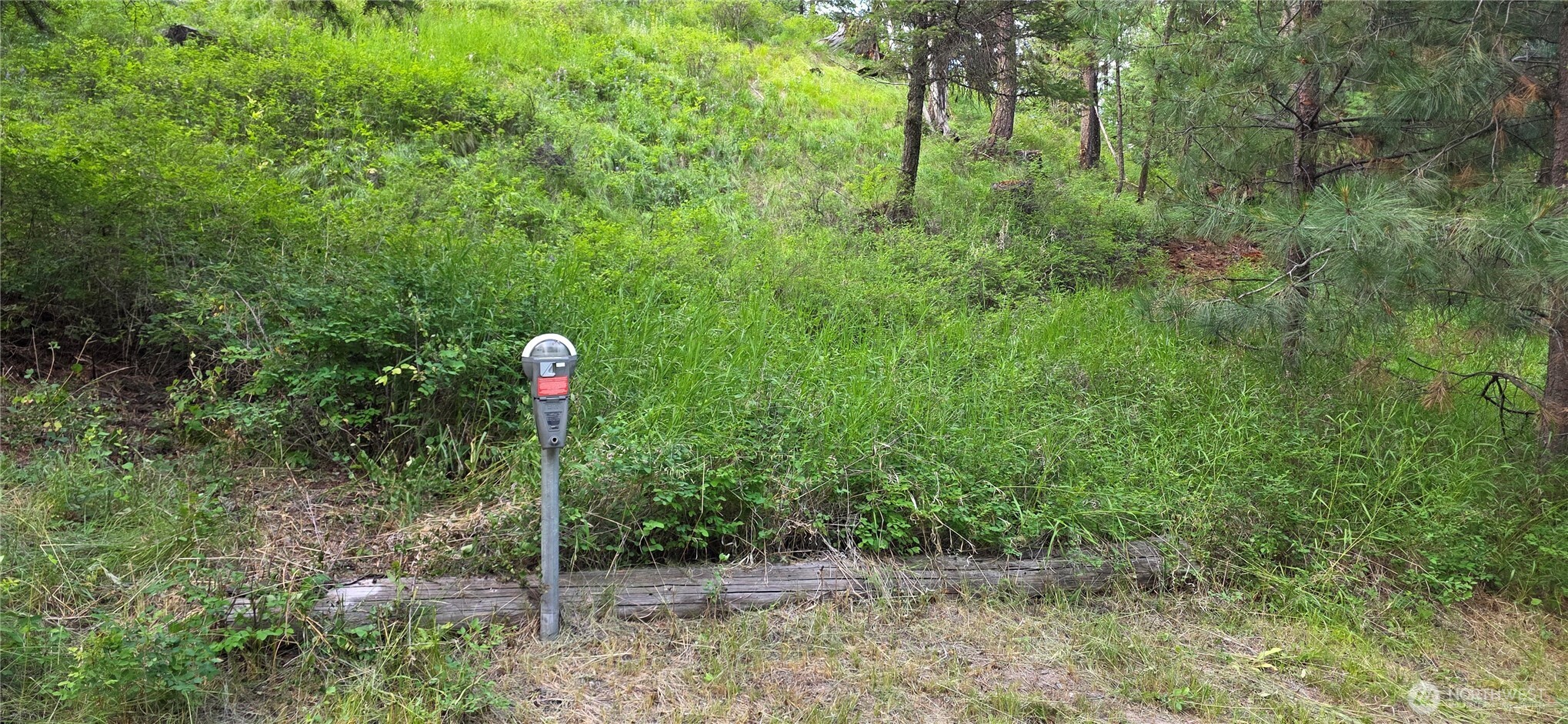 111 Tbd Amanda Rd Property Photo 18