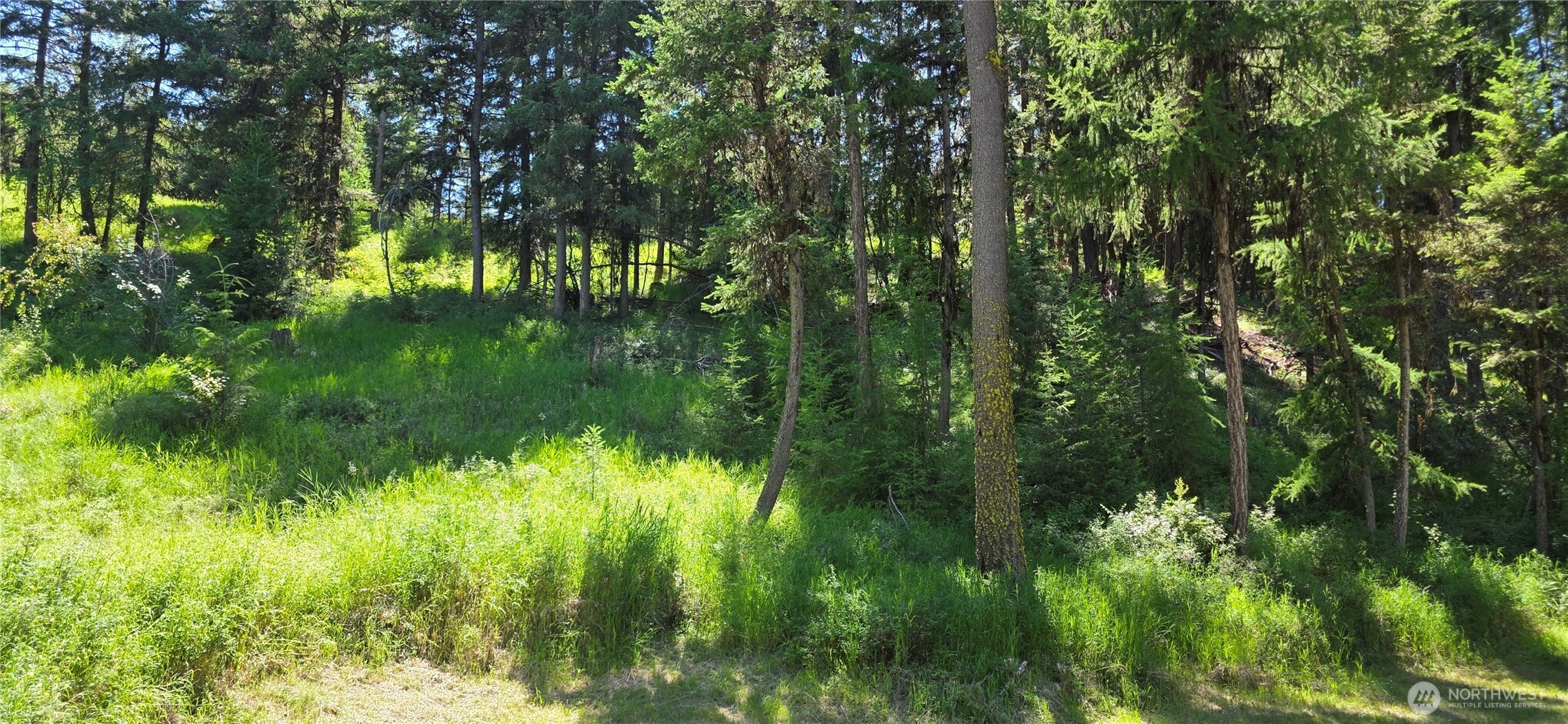 111 Tbd Amanda Rd Property Photo 28