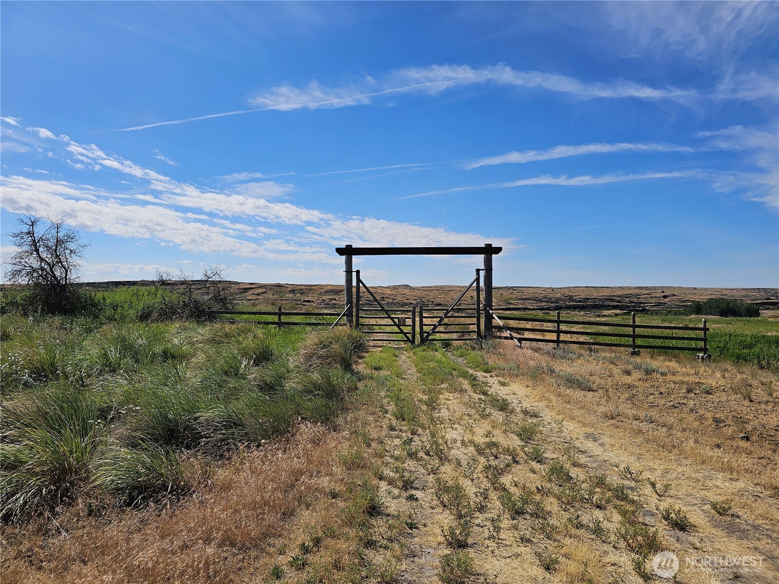 24414 Seven Springs Dairy Road Property Photo 2