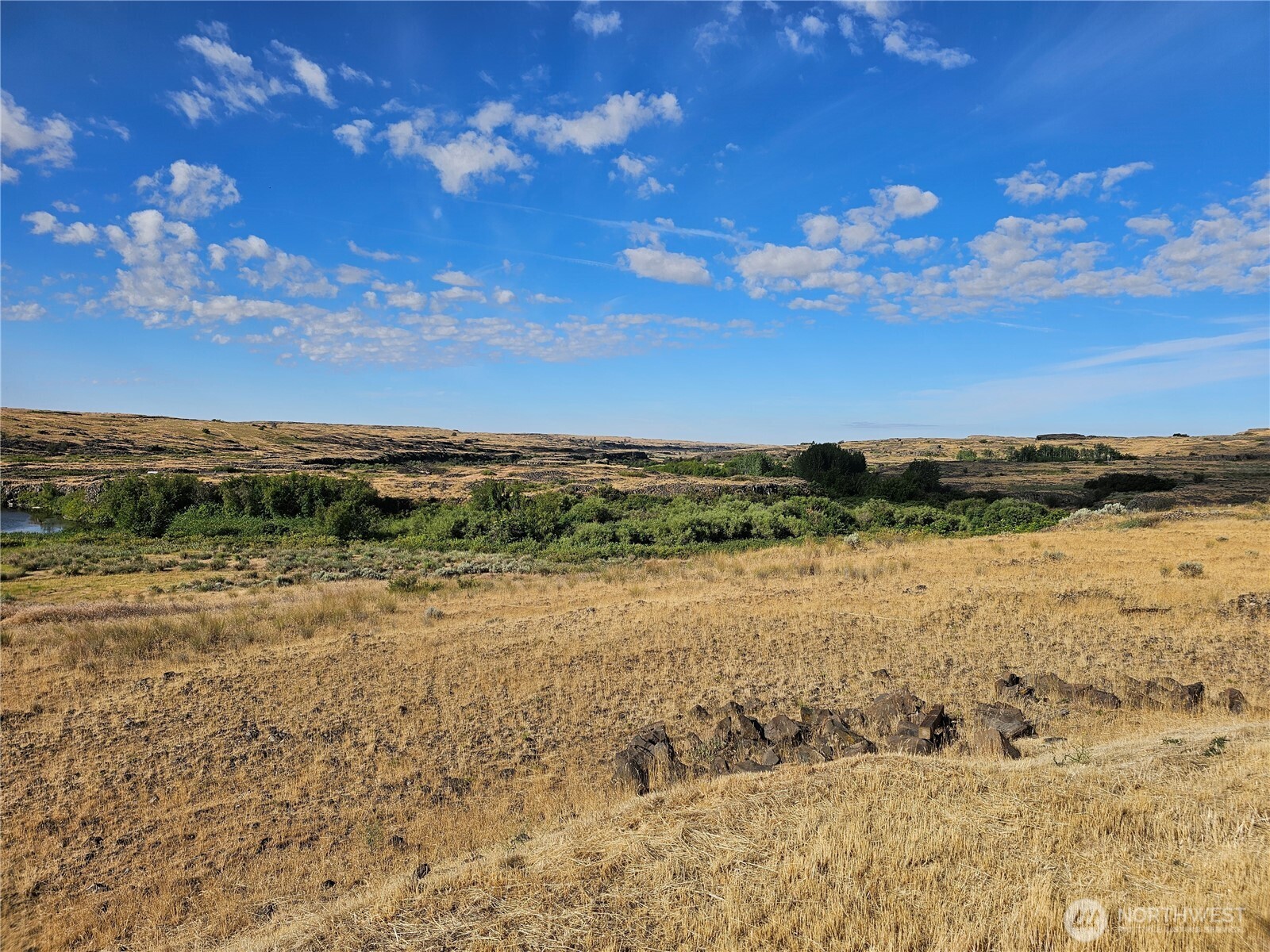 24414 Seven Springs Dairy Road Property Photo 23