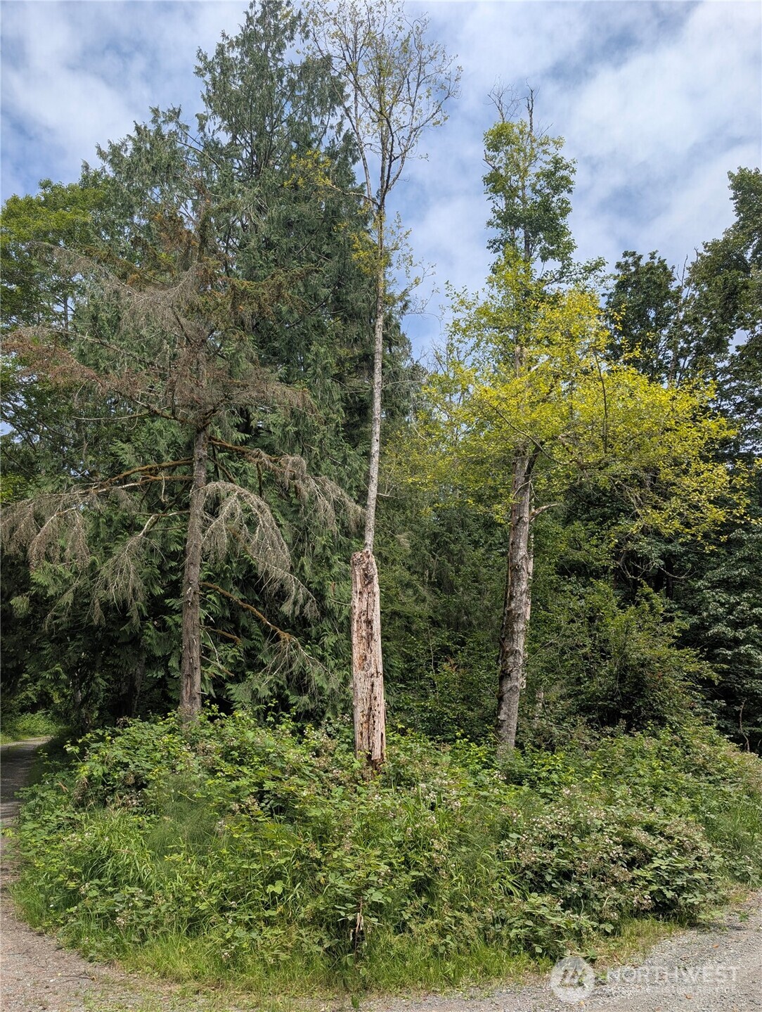 25314 Ebey Mountain Road Property Photo 1