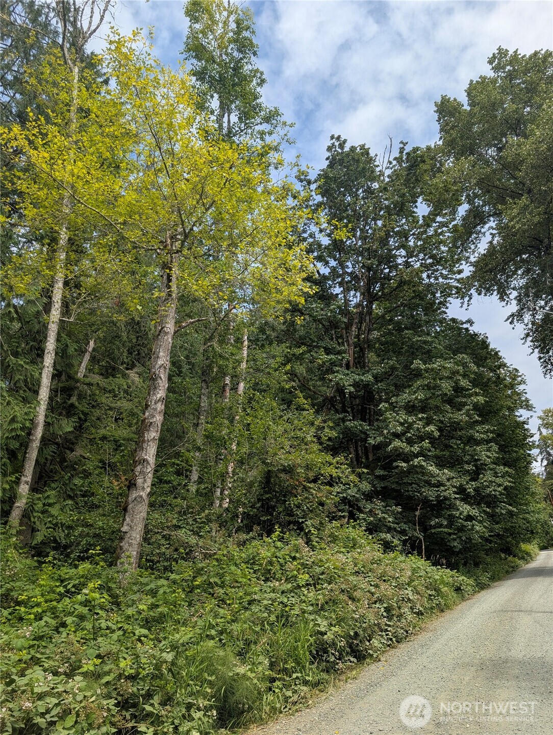 25314 Ebey Mountain Road Property Photo 2