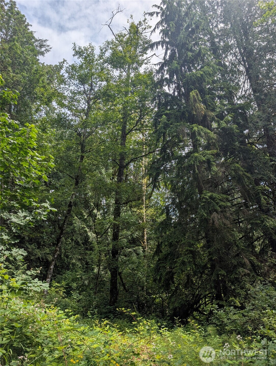 25314 Ebey Mountain Road Property Photo 4