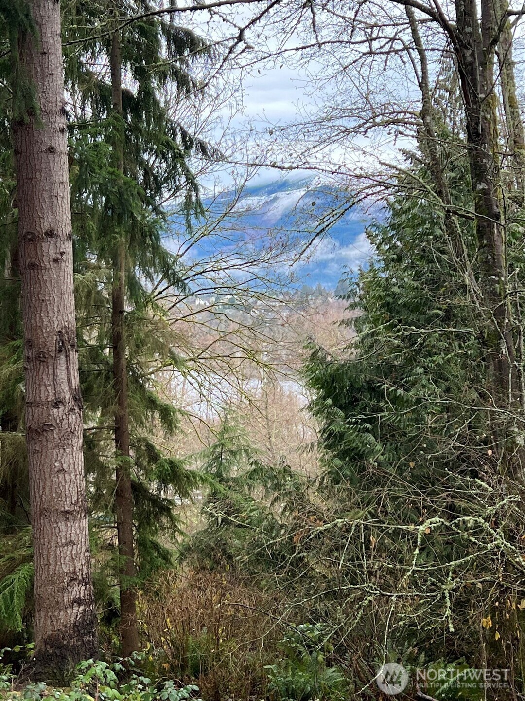 22850 Little Mountain Road Property Photo 36