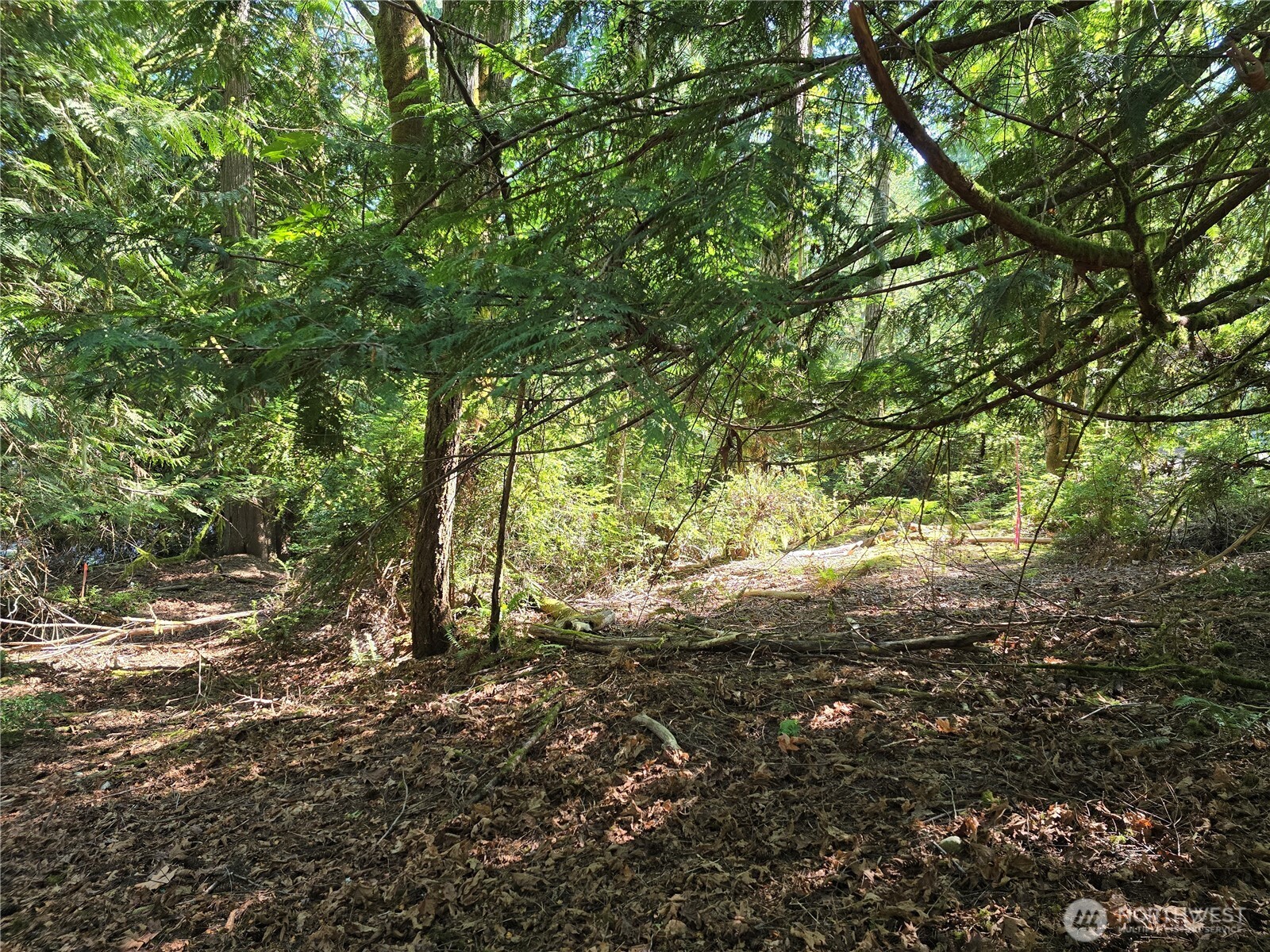 655 E Pointes Drive Property Photo 4