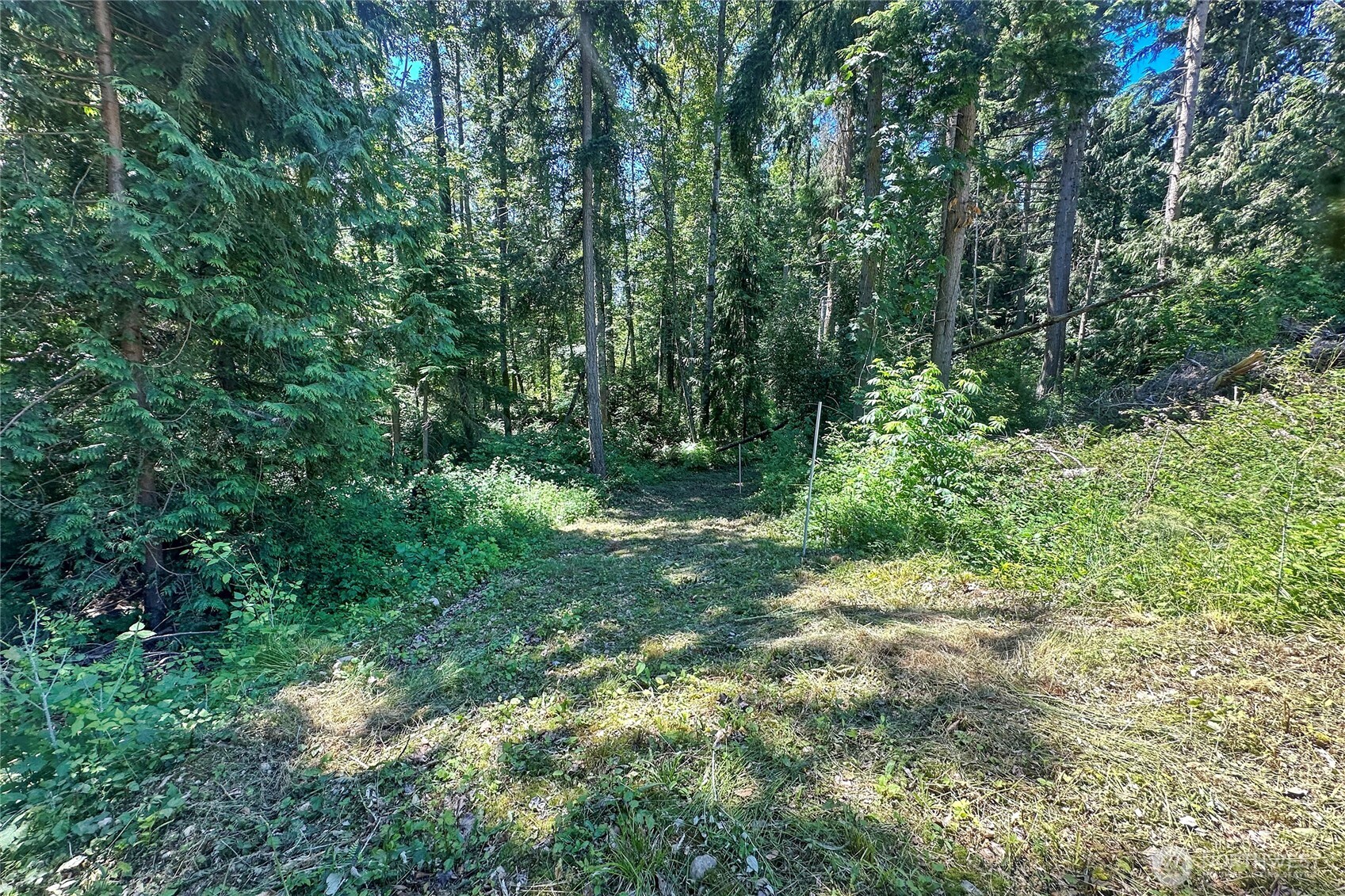 4302 W Tapps Drive Property Photo 7