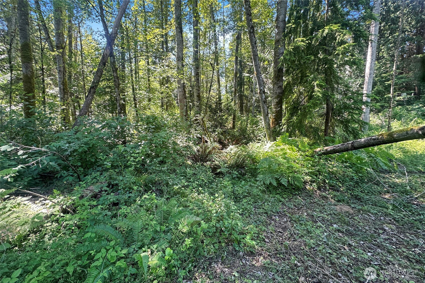 4302 W Tapps Drive Property Photo 8