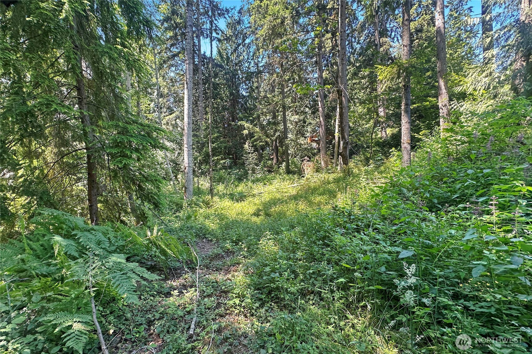 4302 W Tapps Drive Property Photo 9
