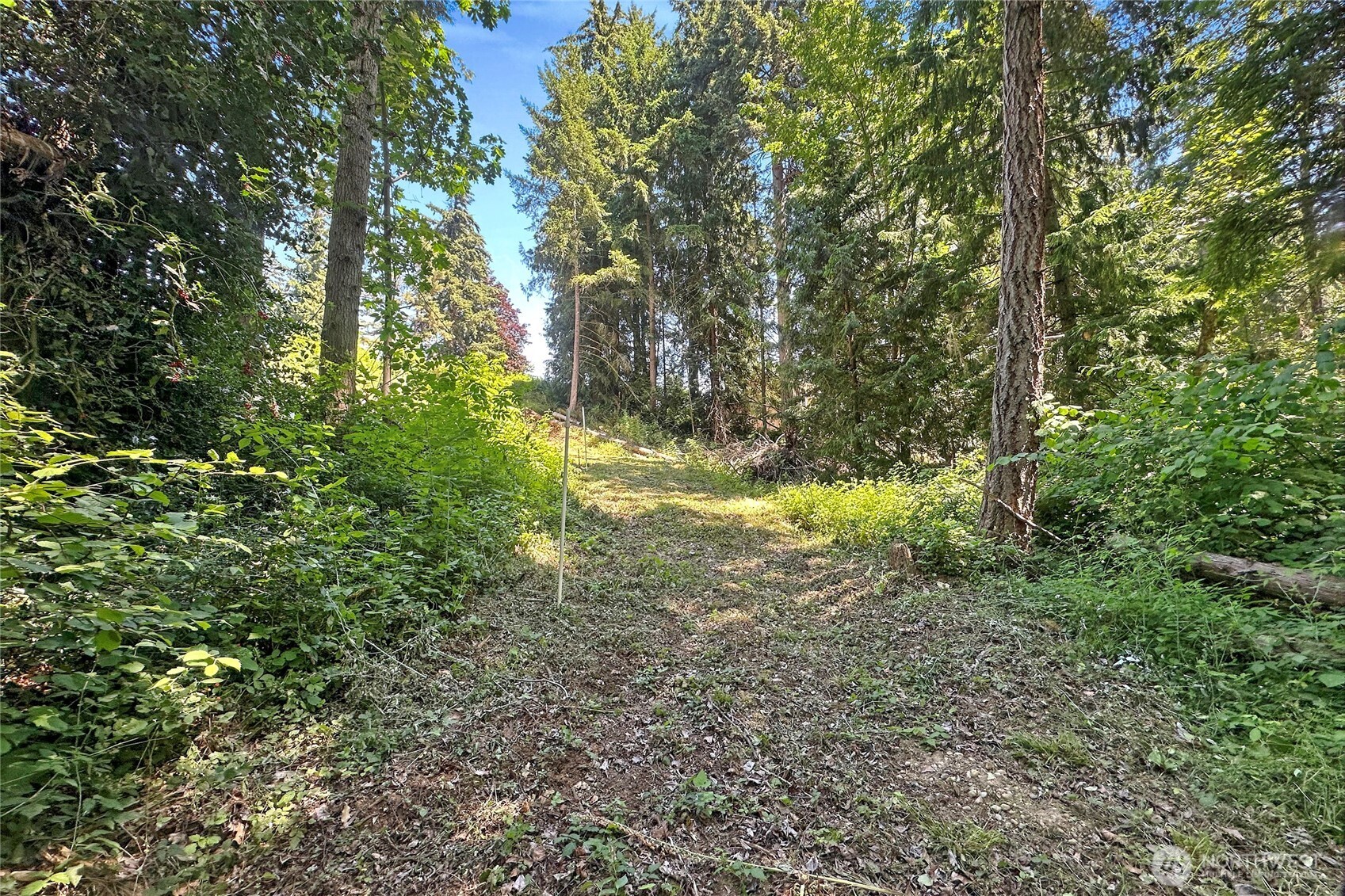 4302 W Tapps Drive Property Photo 10