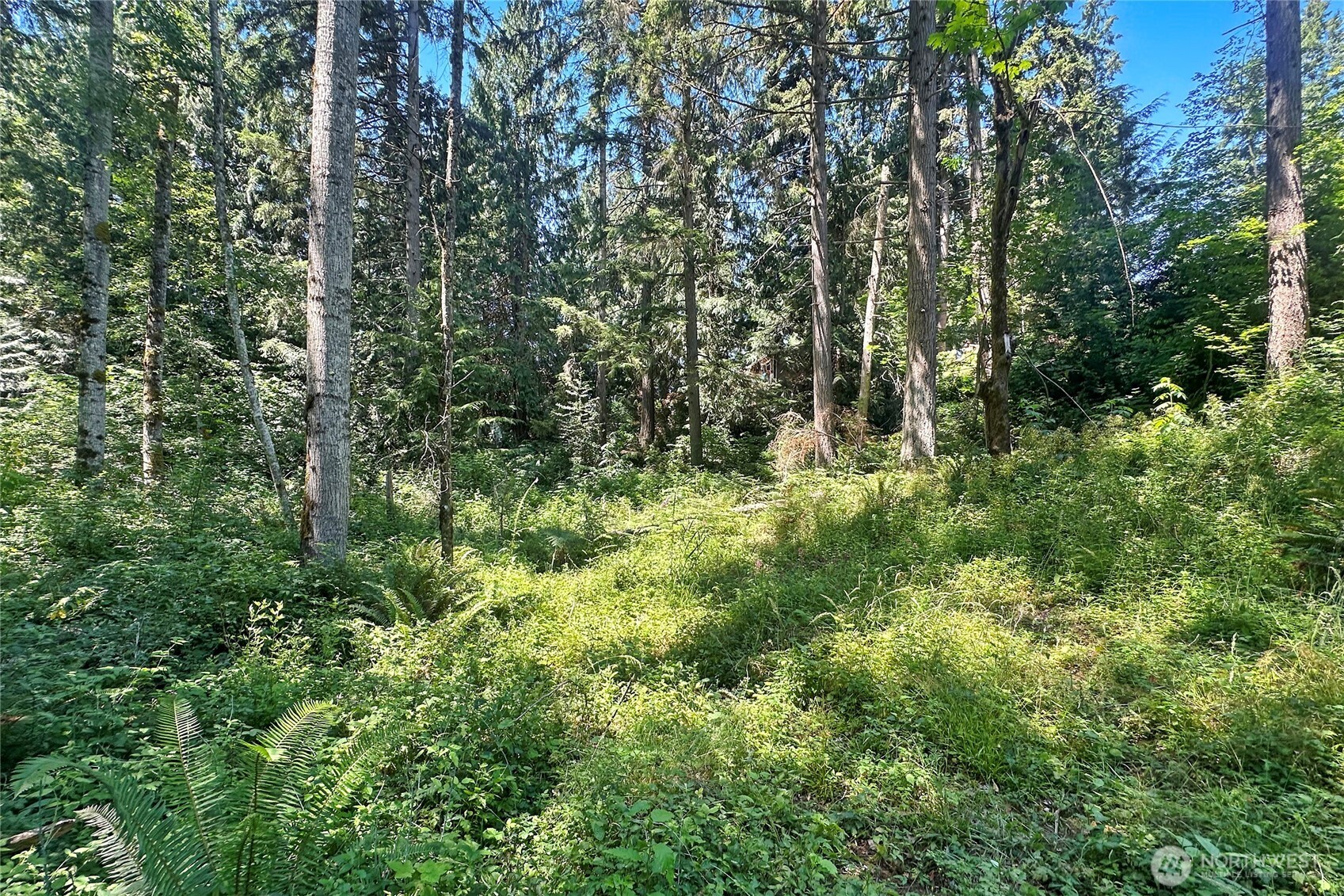 4302 W Tapps Drive Property Photo 12