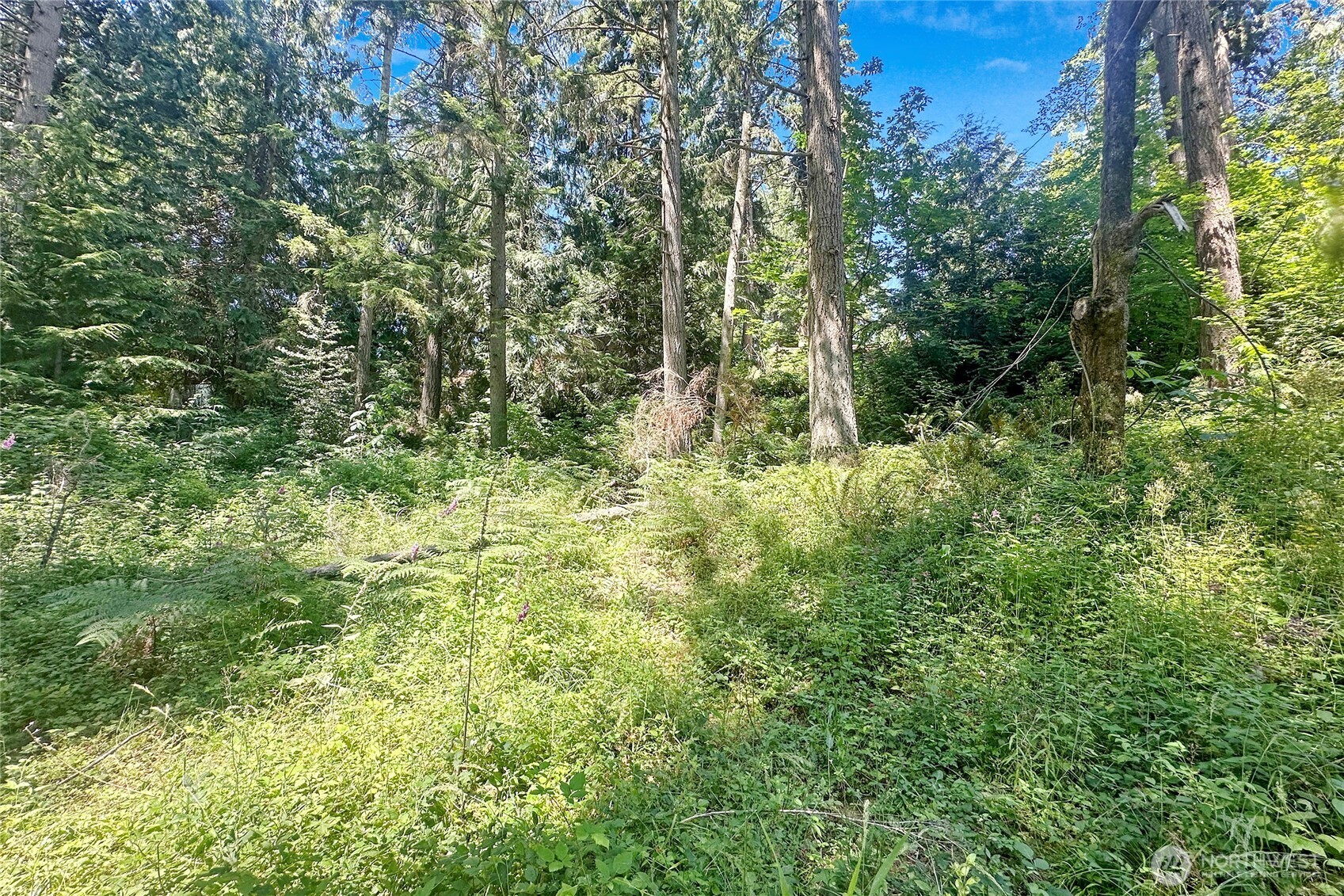 4302 W Tapps Drive Property Photo 17