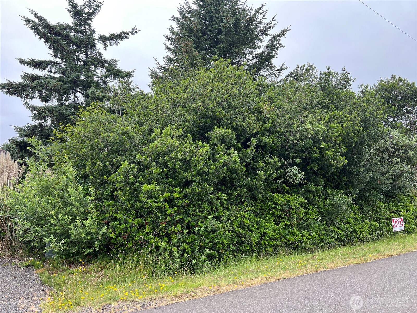 342 N Razor Clam Drive Property Photo 1