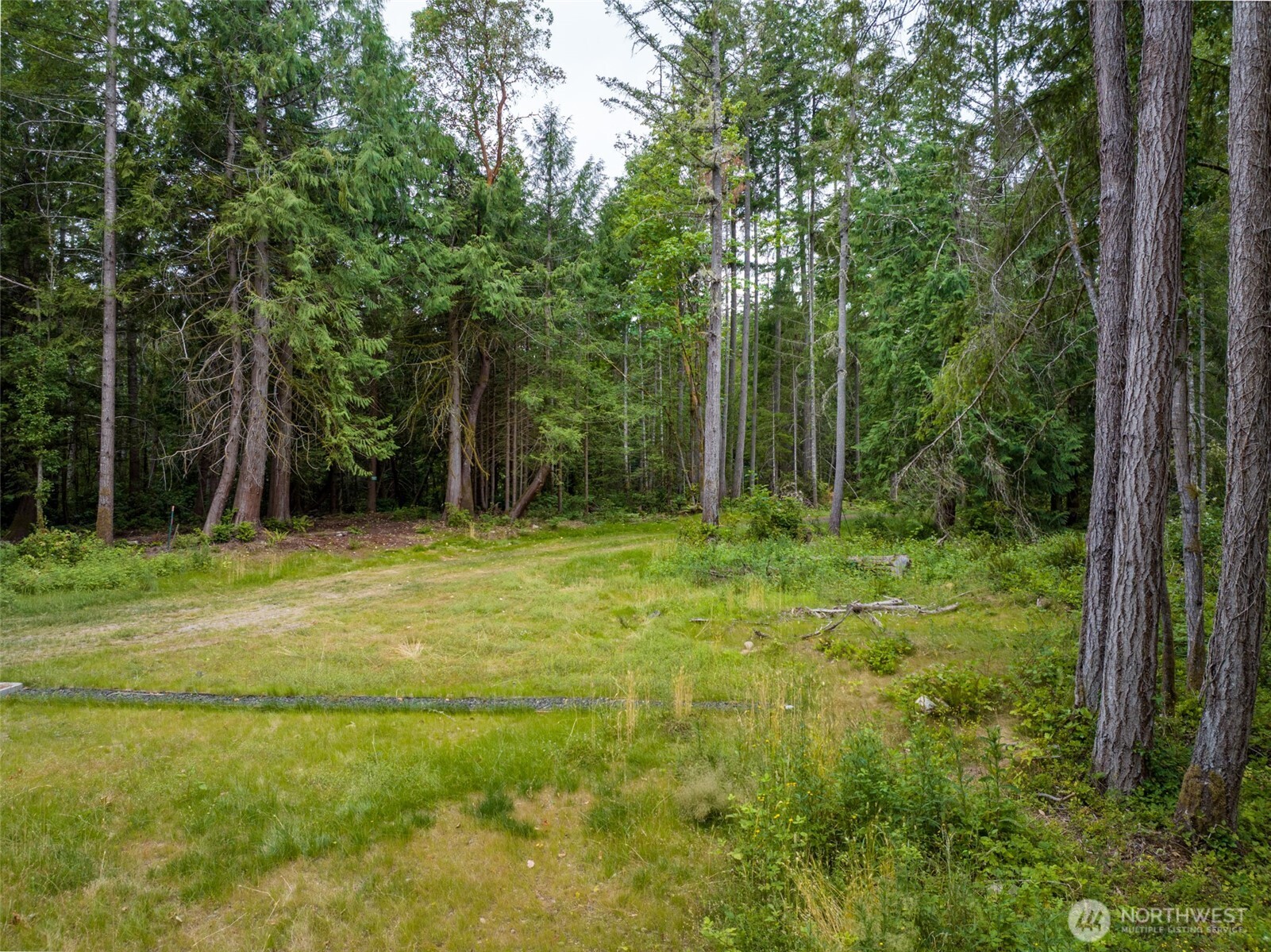 9501 Bucsit Lane Property Photo 15