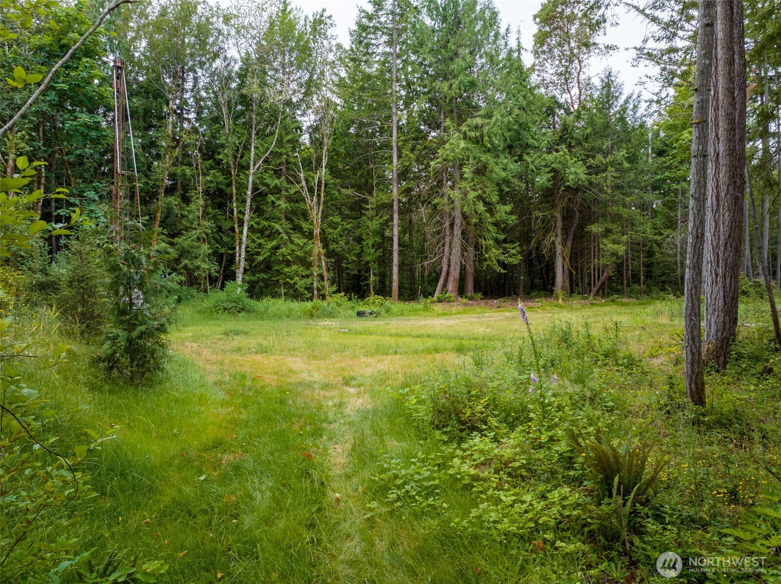 9501 Bucsit Lane Property Photo 16