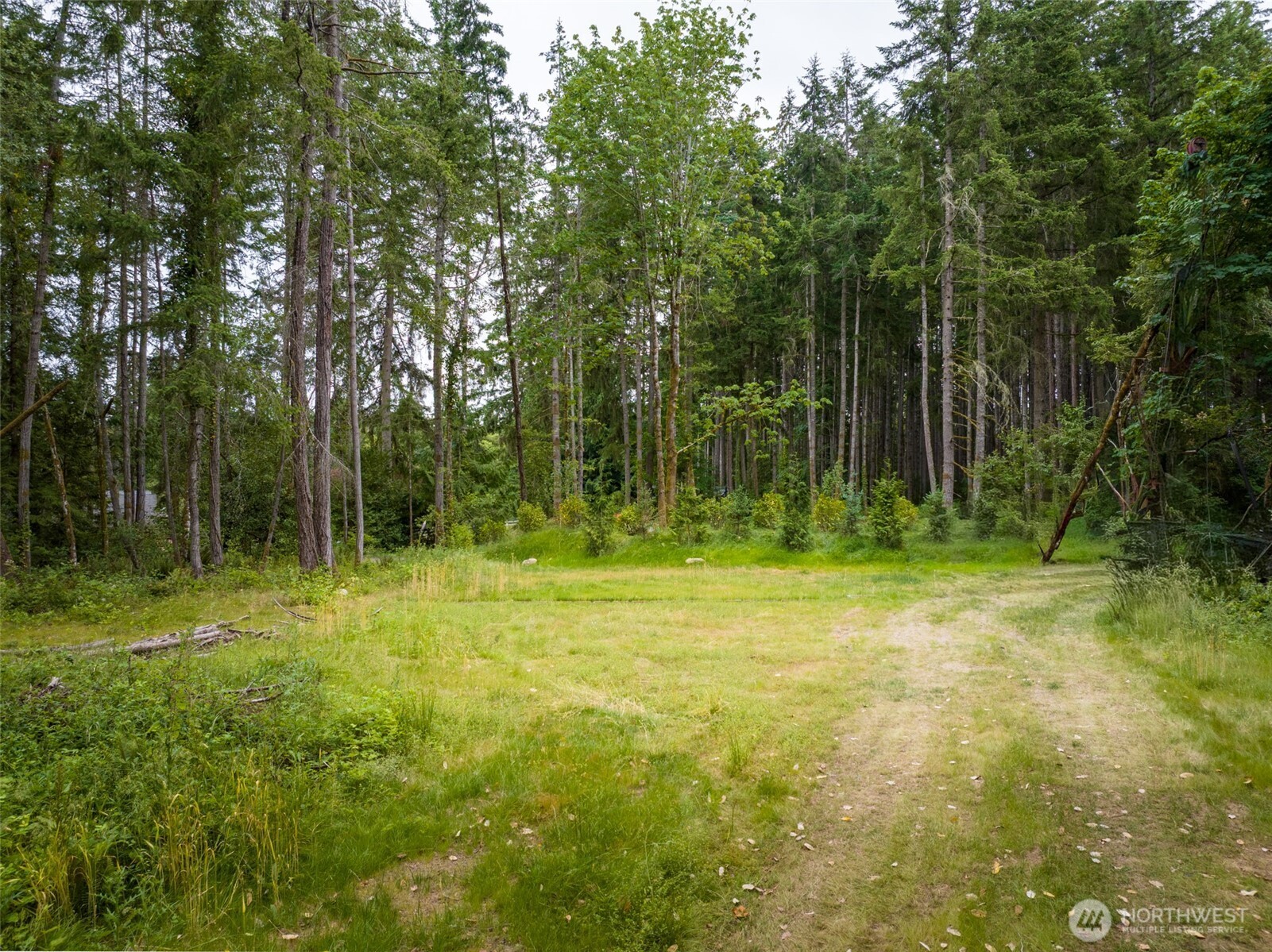 9501 Bucsit Lane Property Photo 17
