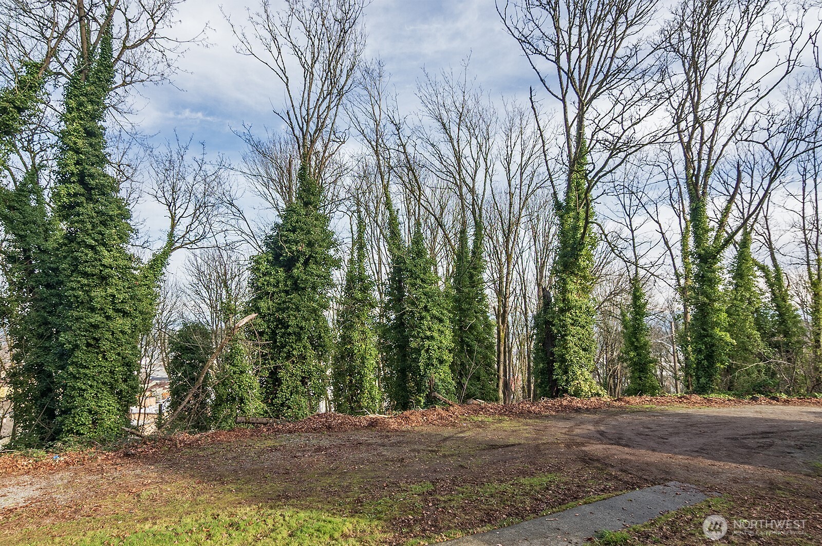 4729 Mount View Drive Property Photo 31
