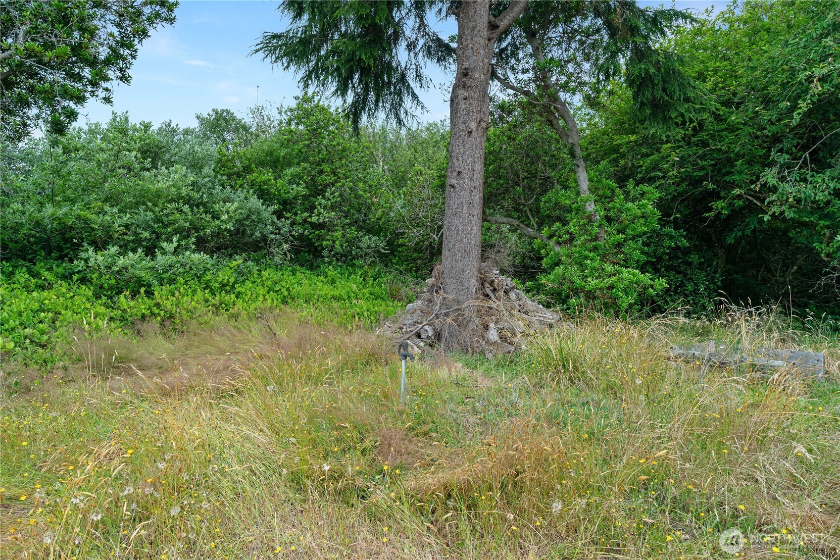 521 Point Brown Avenue Property Photo 1