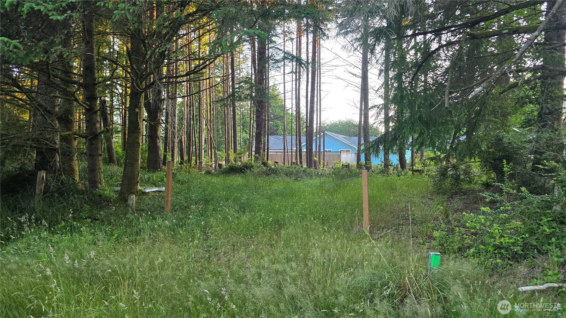 119 Olympic View Avenue Property Photo 8