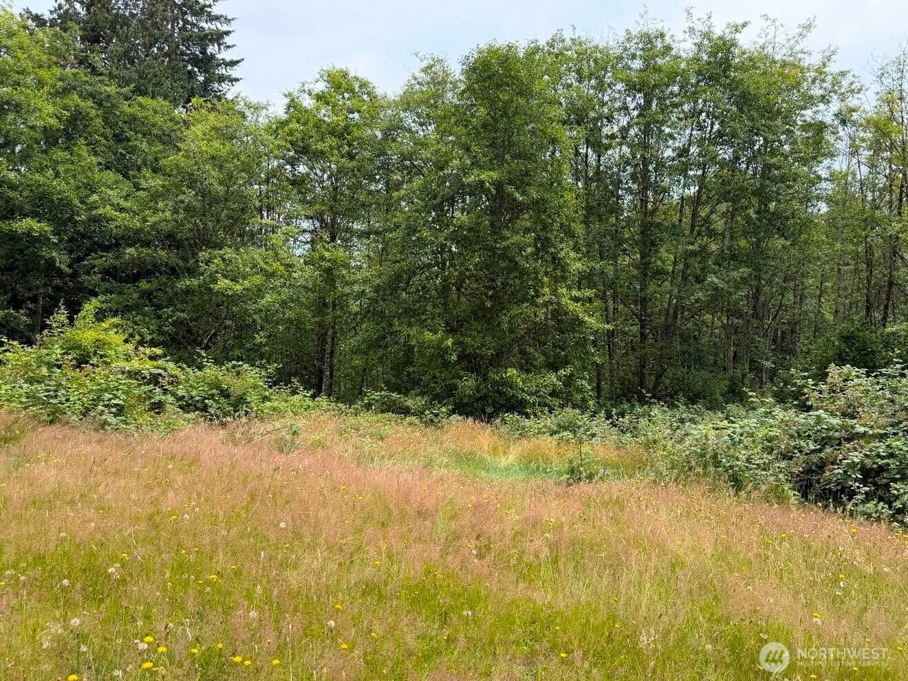 244 N Dubois Road Property Photo 21