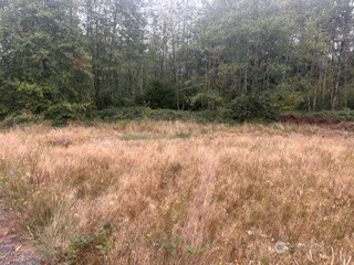 244 N Dubois Road Property Photo 29