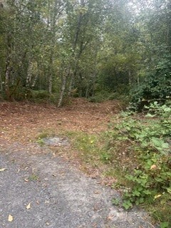 244 N Dubois Road Property Photo 37