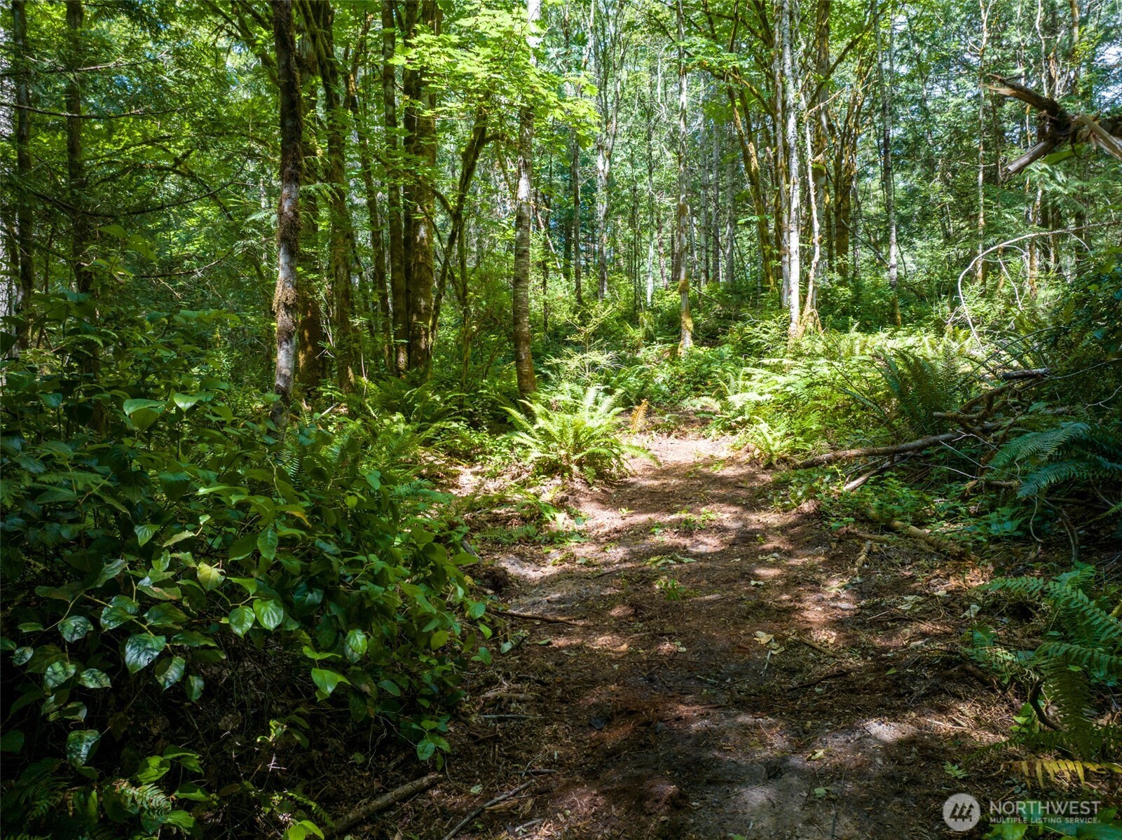 9495 Bucsit Lane Property Photo 13