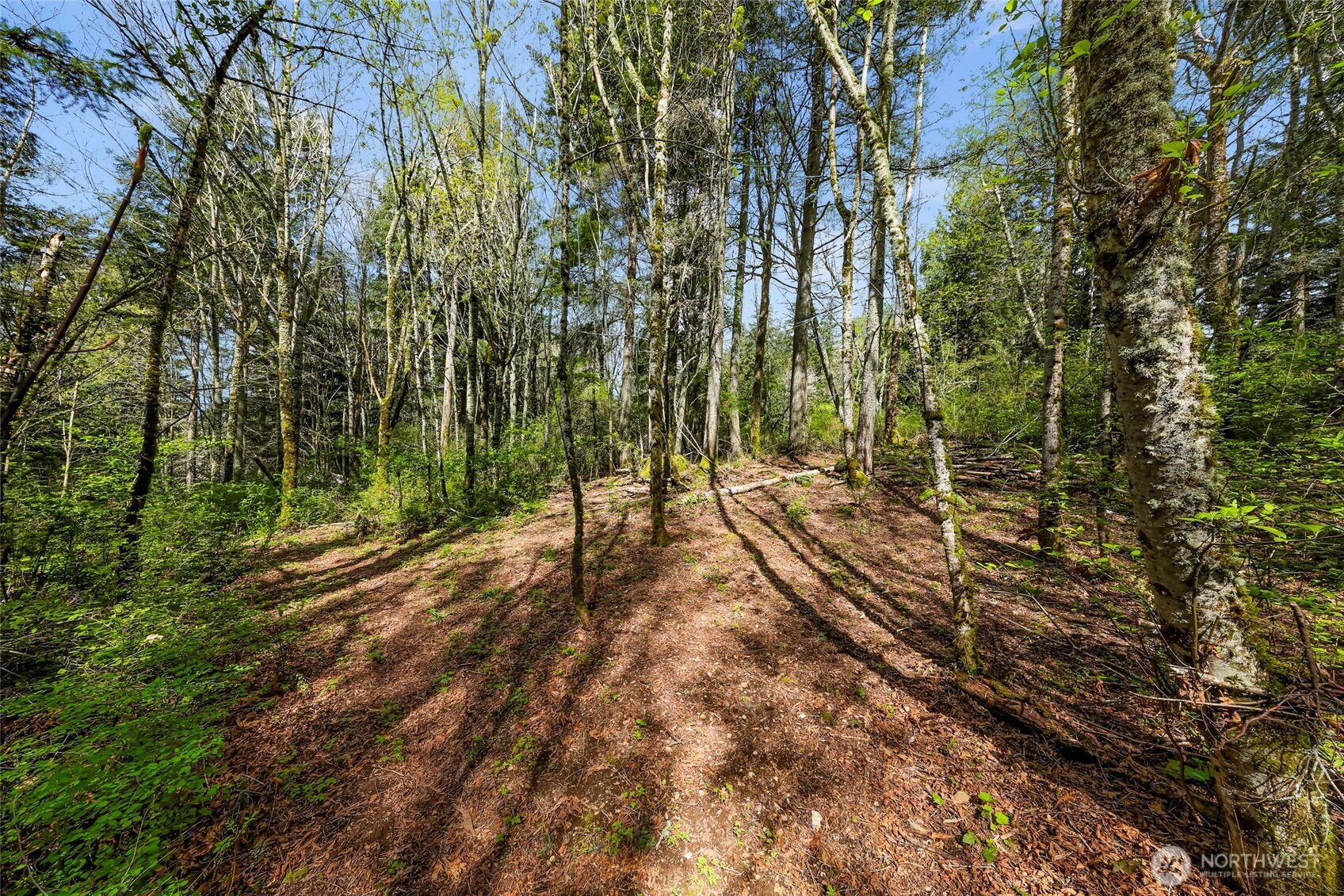 1800 40th Place Property Photo 5