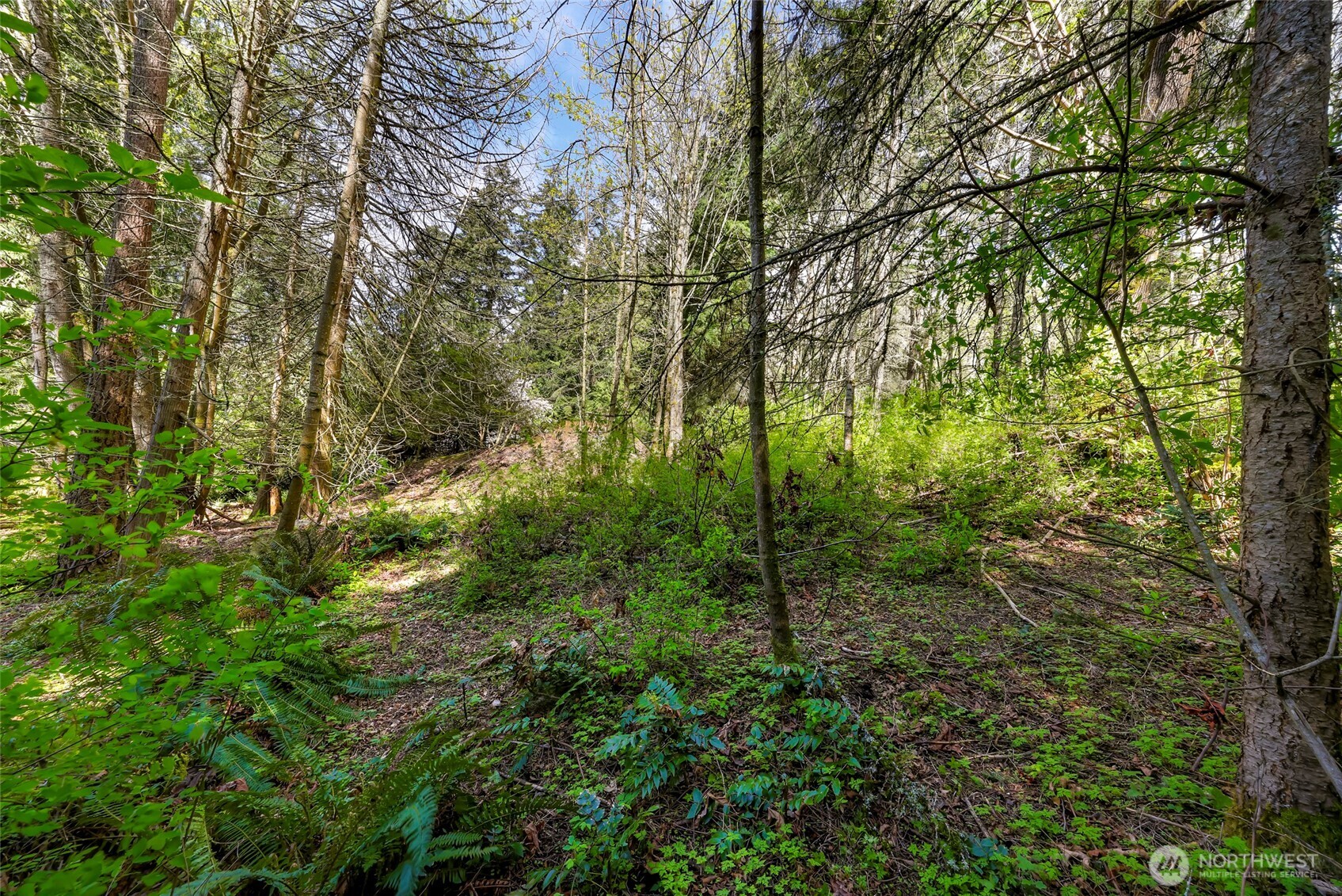 1800 40th Place Property Photo 9