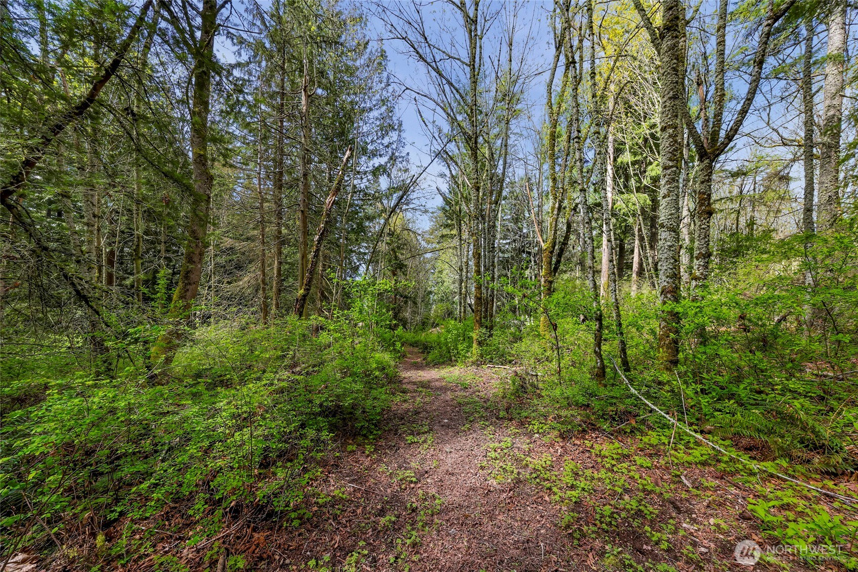 1800 40th Place Property Photo 12