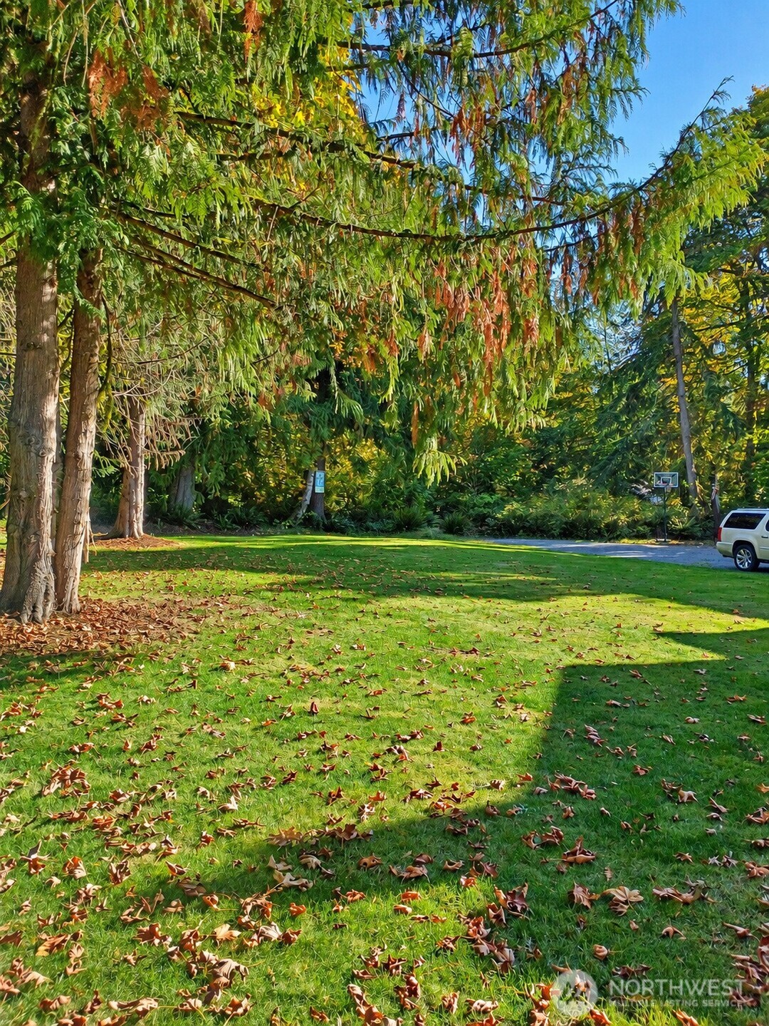 1712 145th Avenue Property Photo 36
