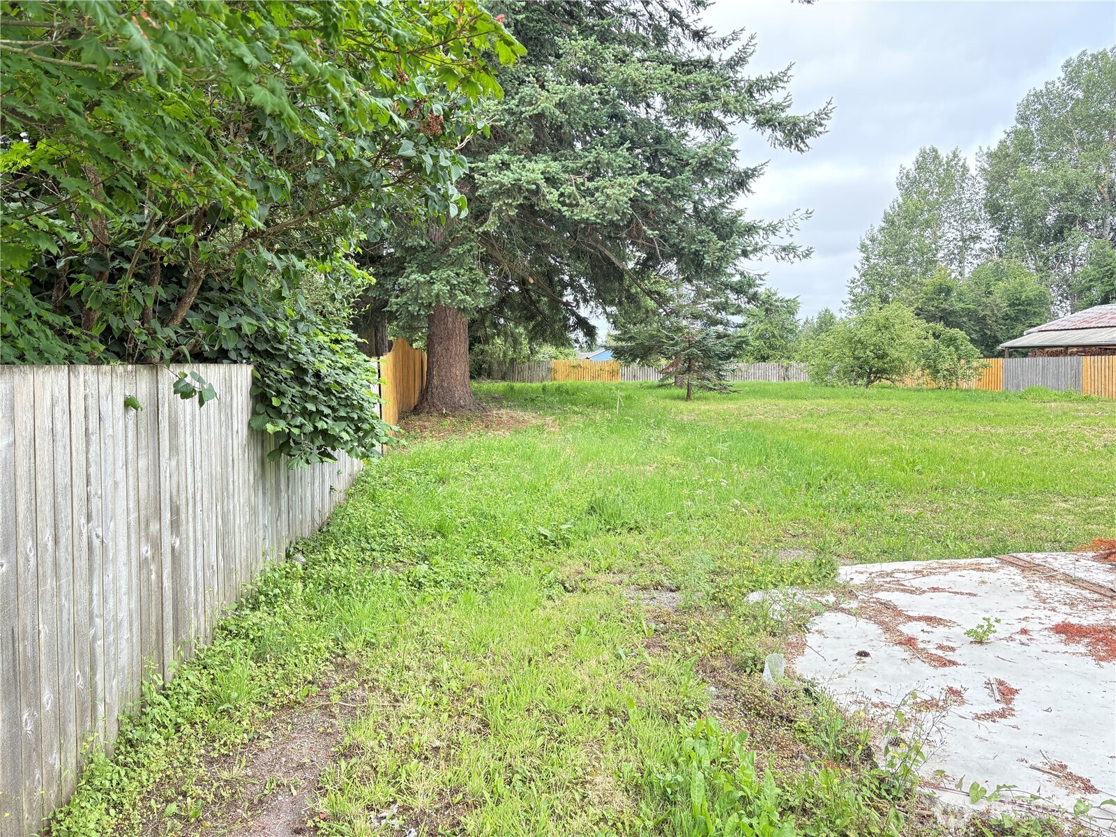 1828 Gossard Street Property Photo 33