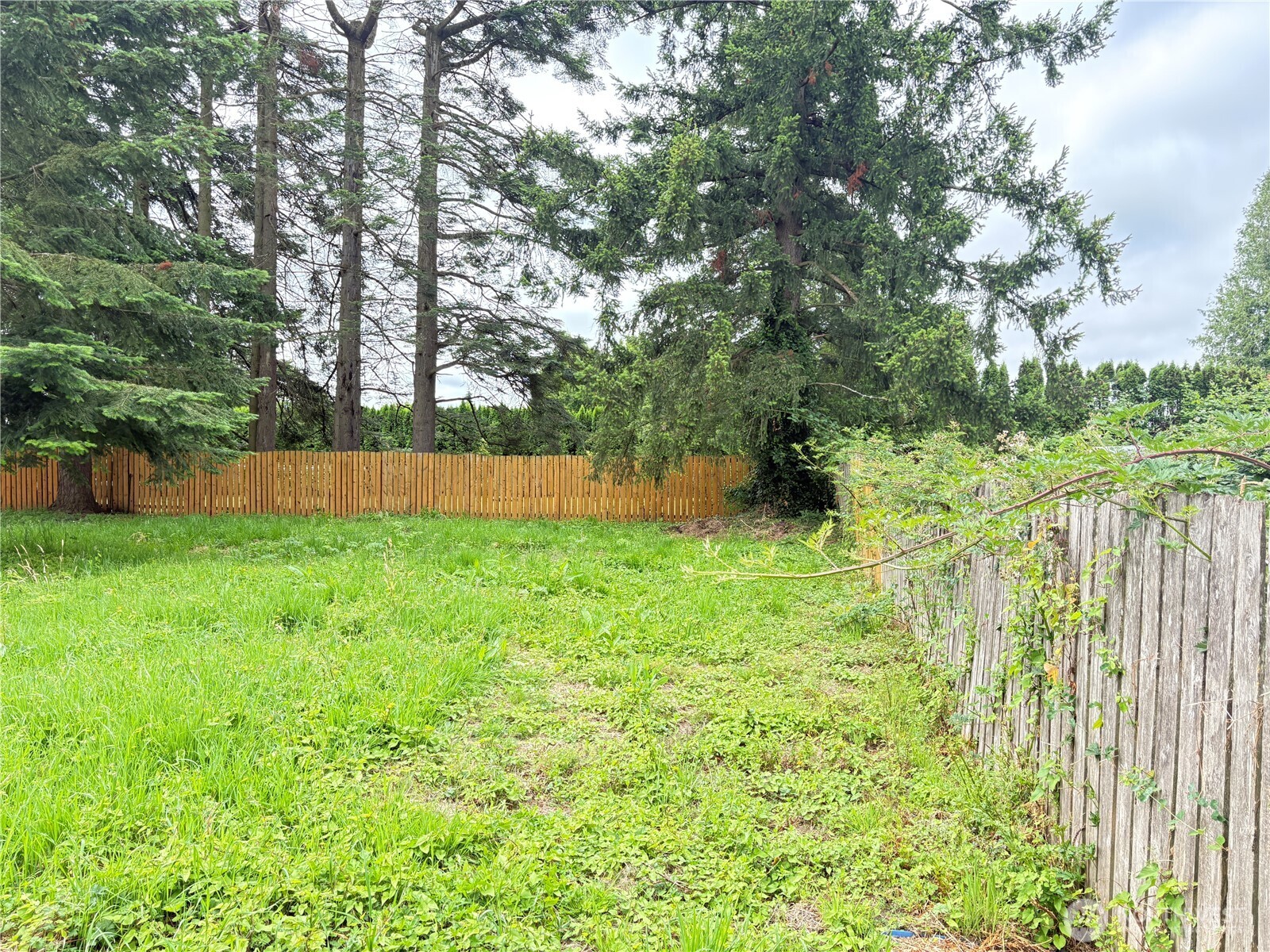 1828 Gossard Street Property Photo 37