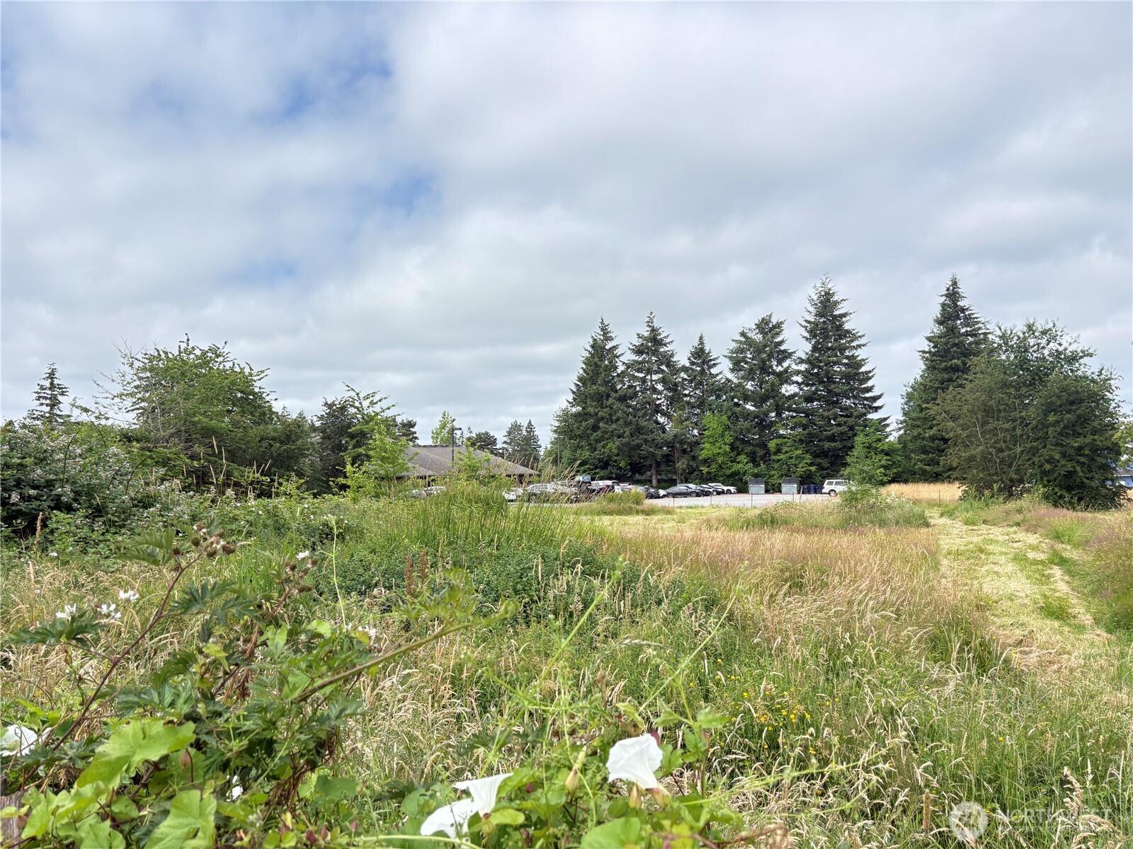 1828 Gossard Street Property Photo 38