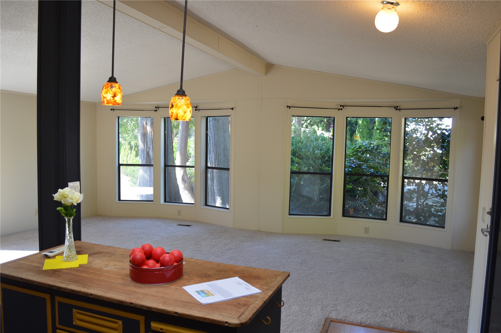 4582 Guemes Way Property Photo 12