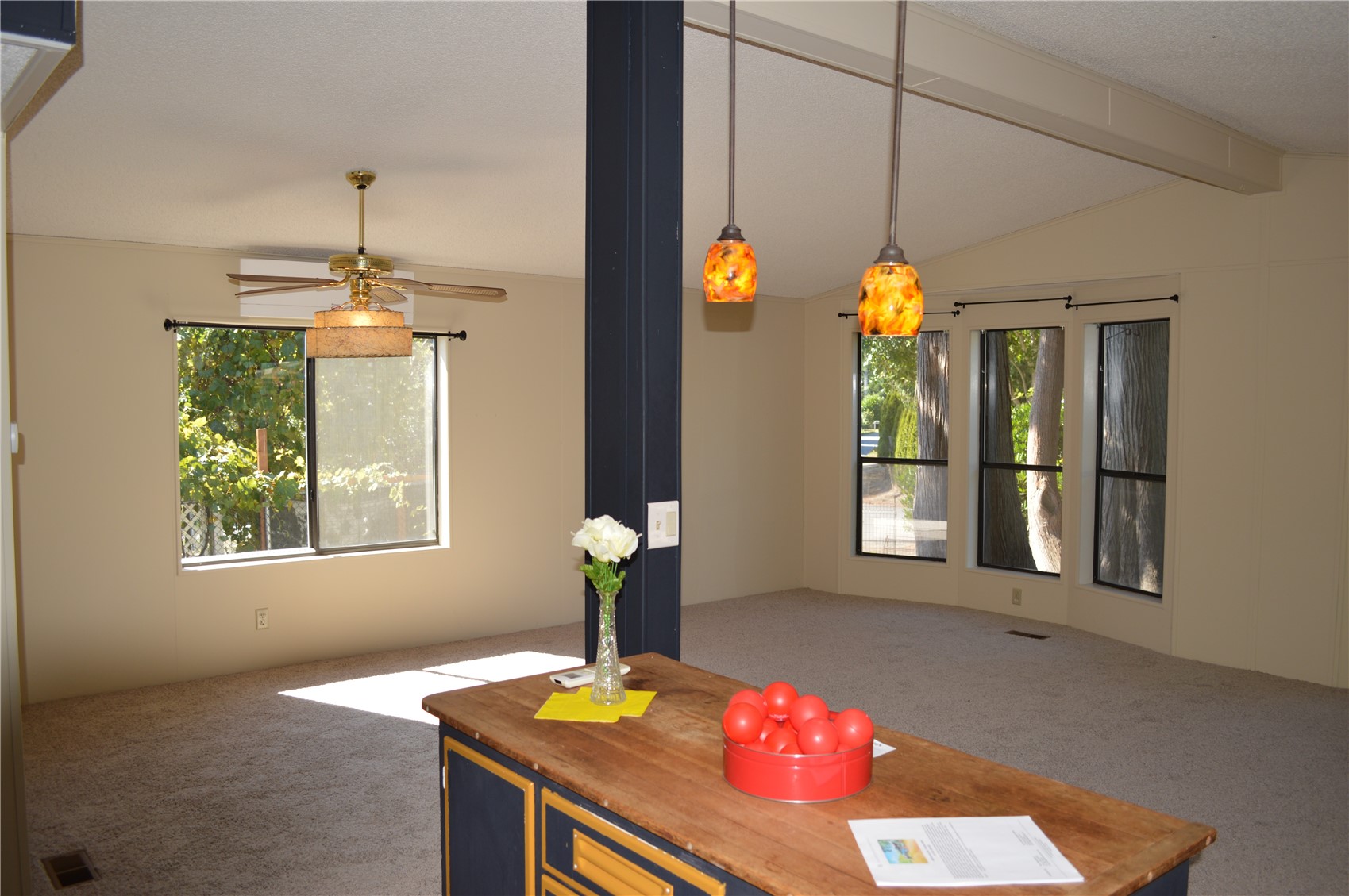 4582 Guemes Way Property Photo 14