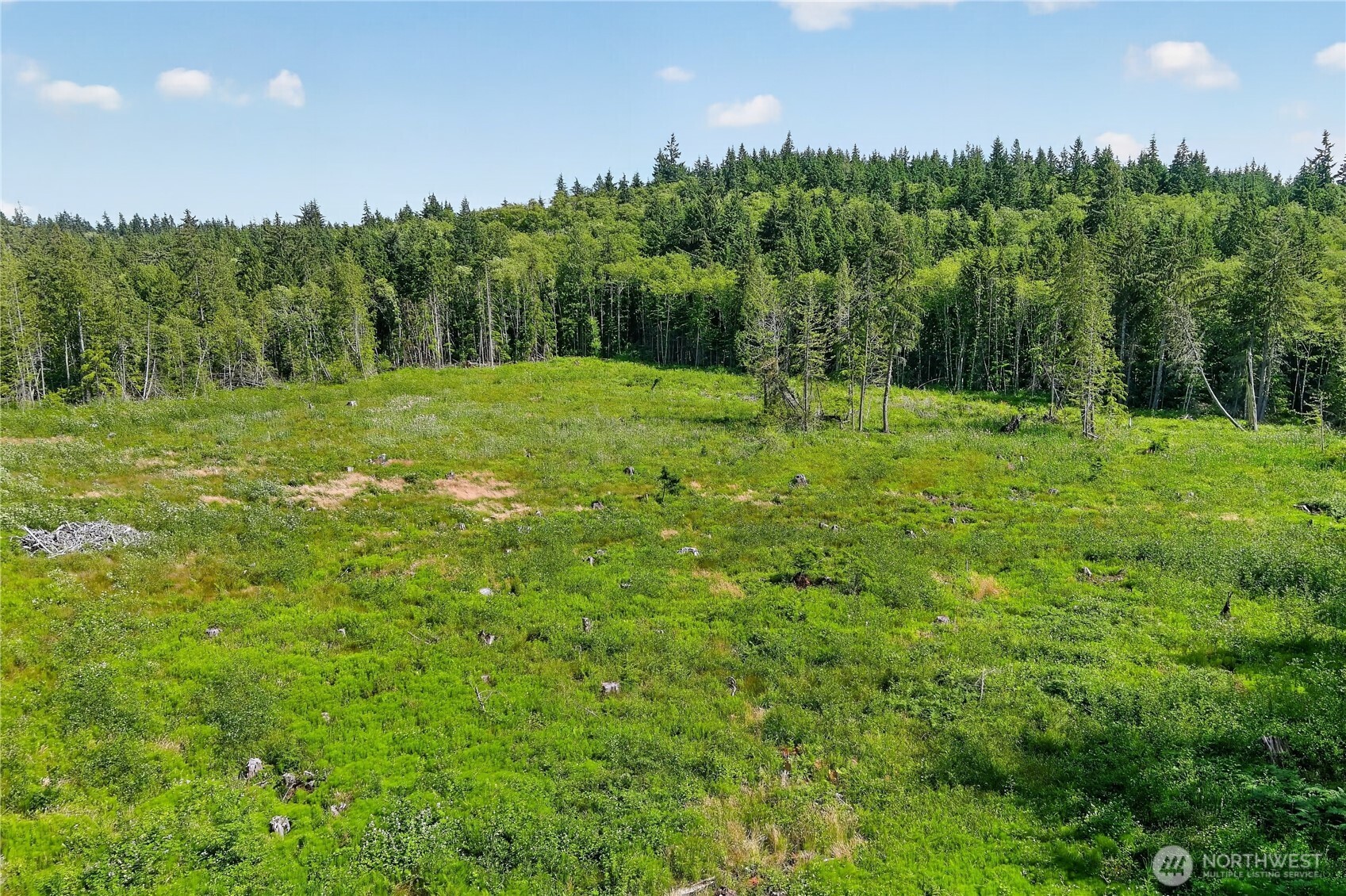 0 Xxx W Oak Harbor Property Photo 2