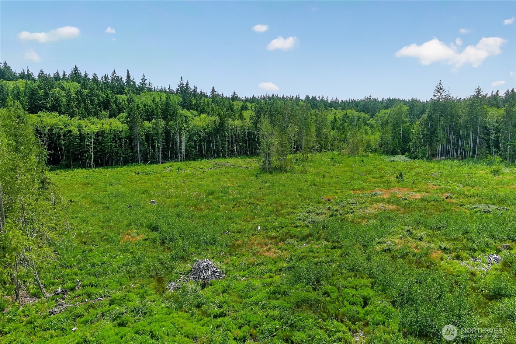 0 Xxx W Oak Harbor Property Photo 4