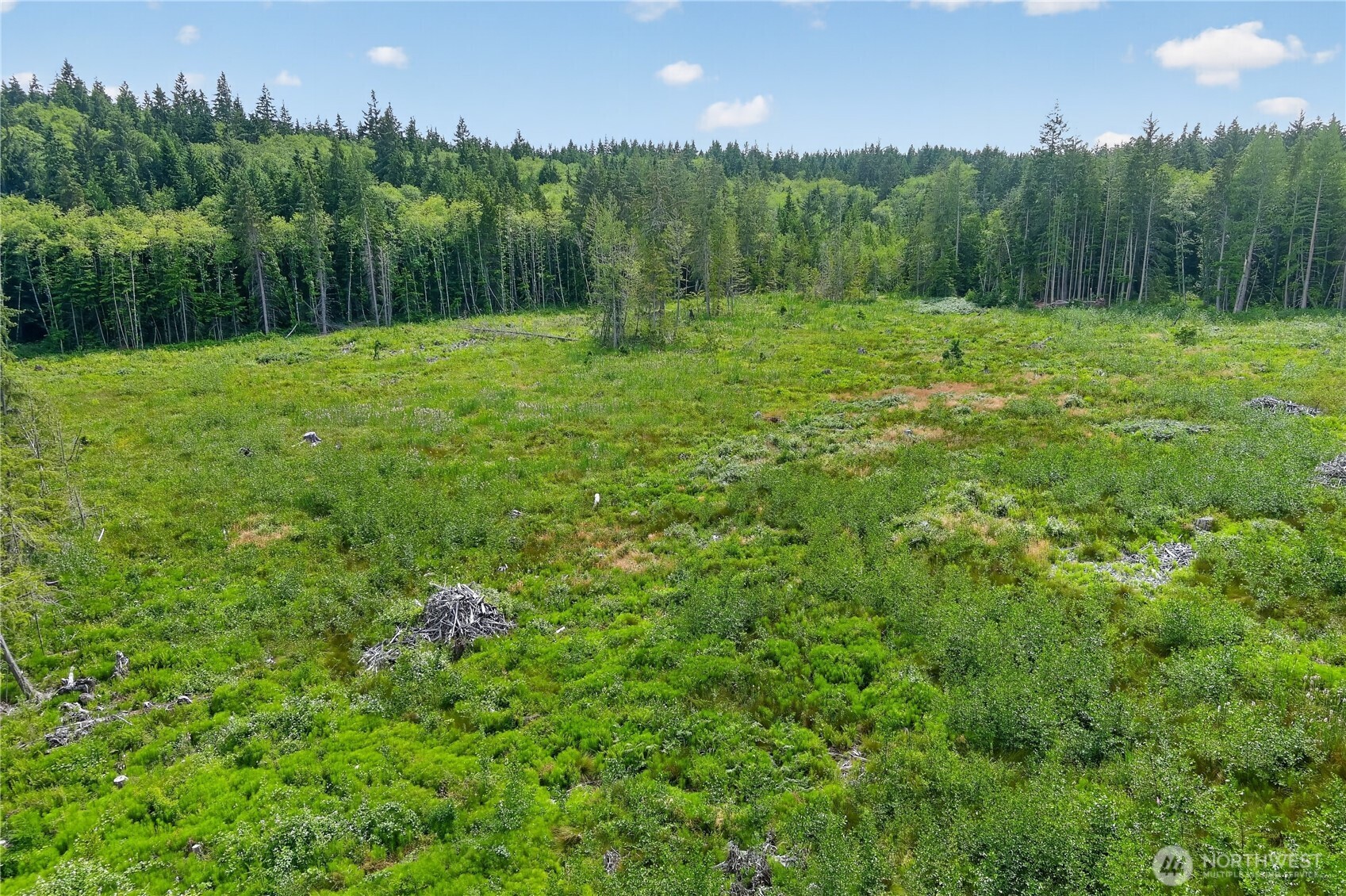 0 Xxx W Oak Harbor Property Photo 5